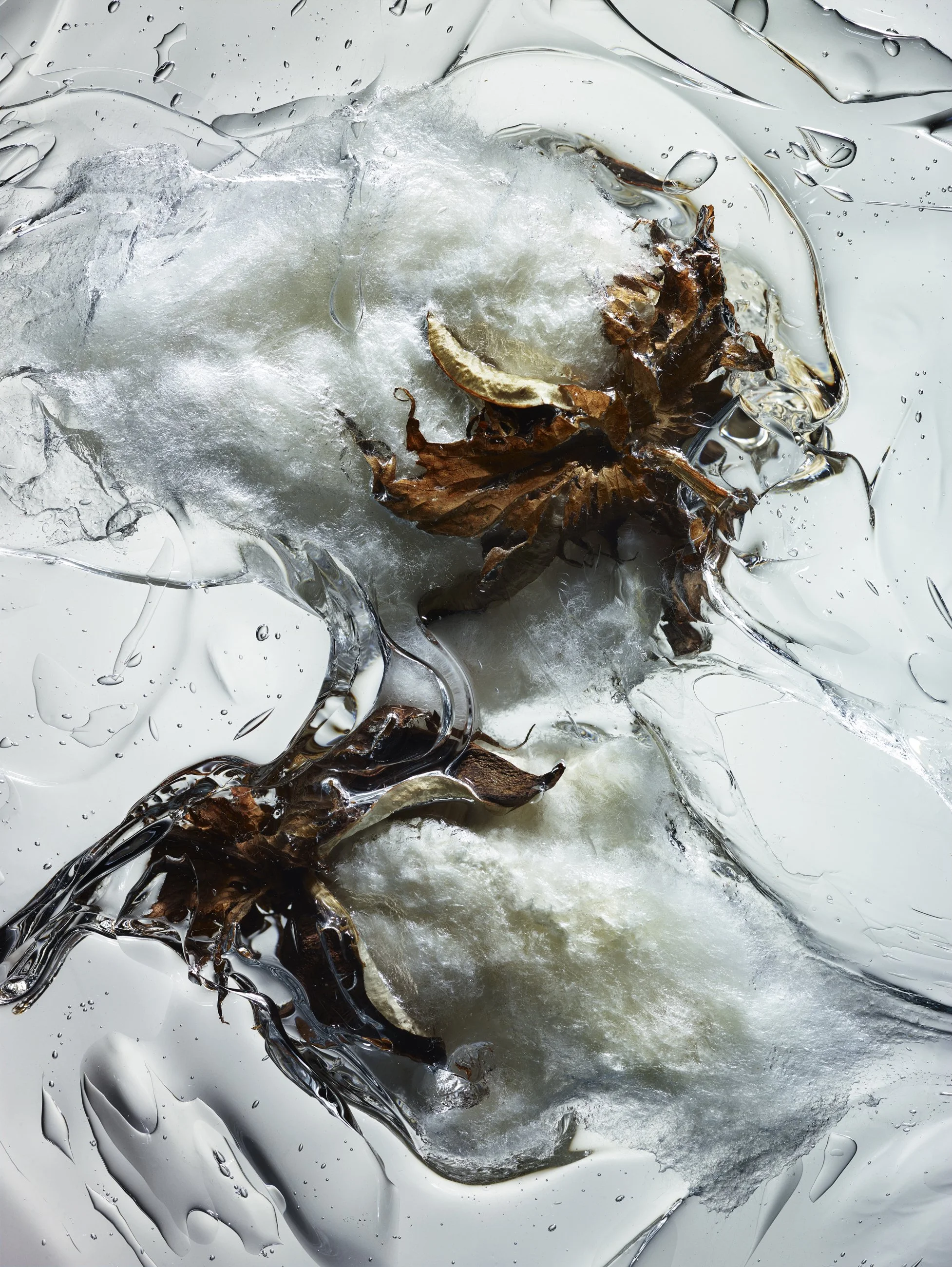 Nicholas Alan Cope Photography