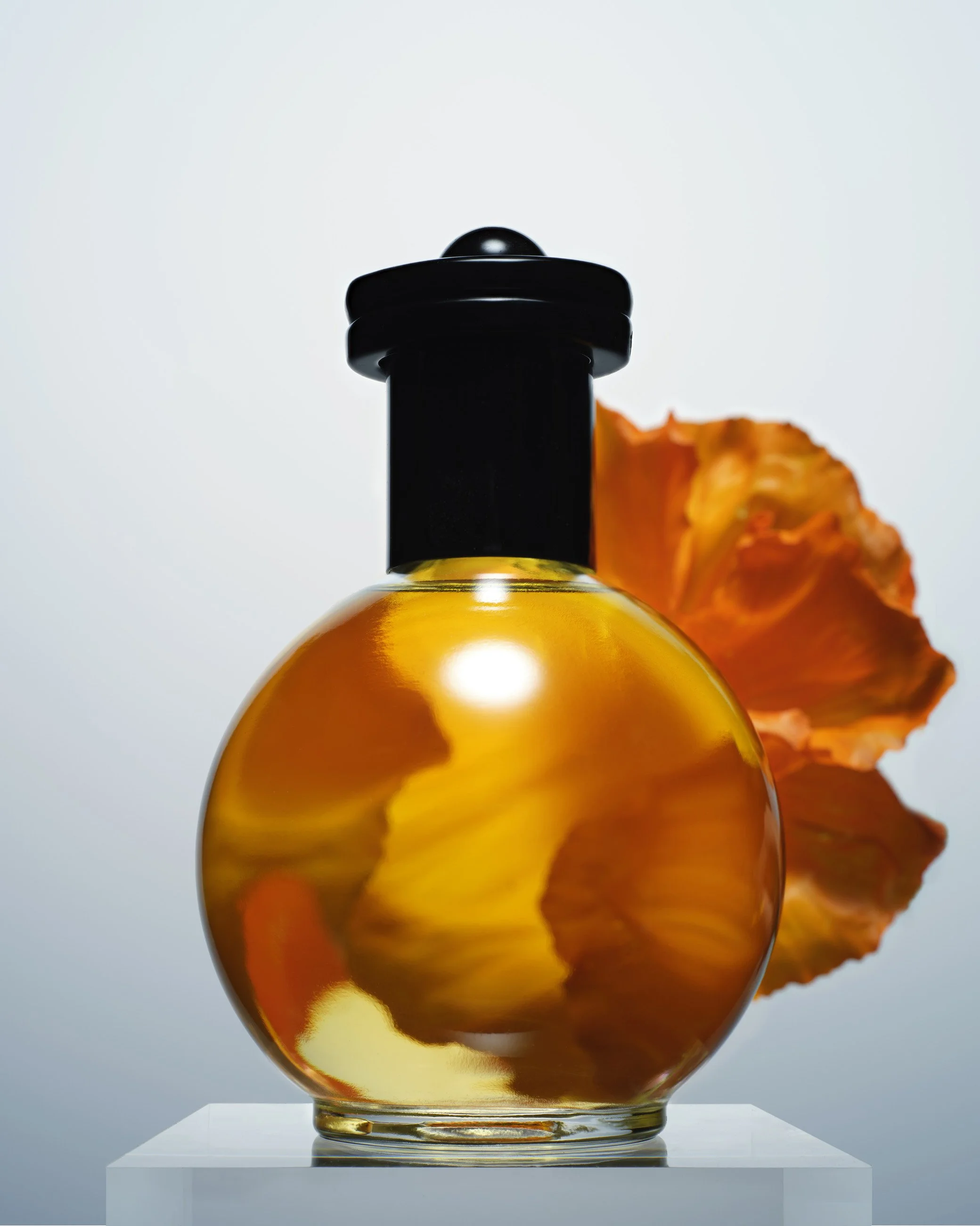 Nicholas Alan Cope Photography