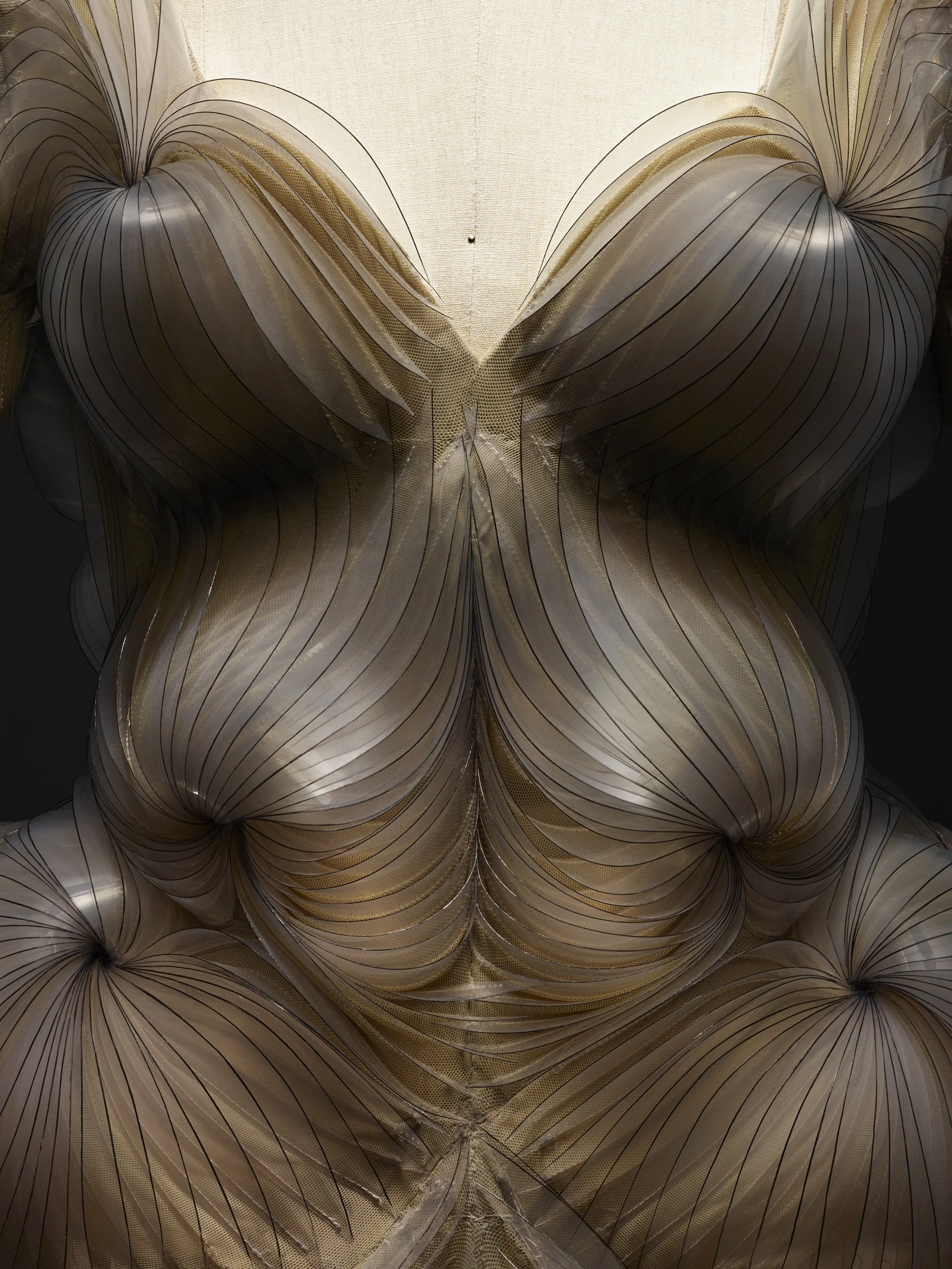 Nicholas Alan Cope Photography