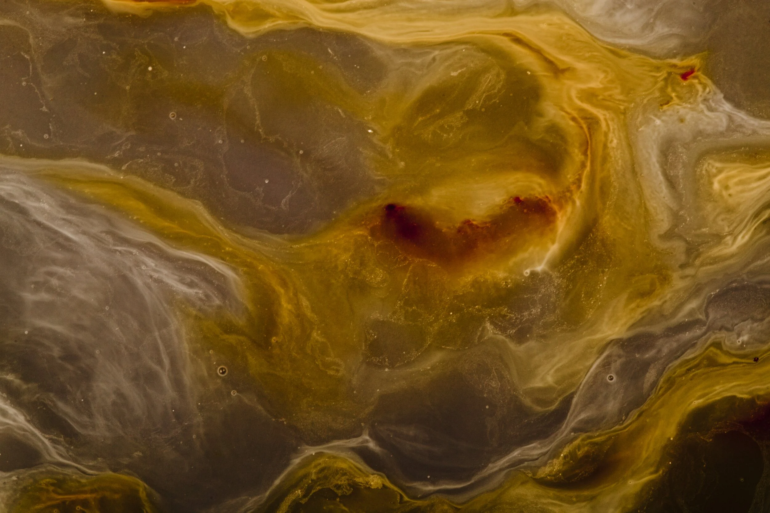 Nicholas Alan Cope Photography