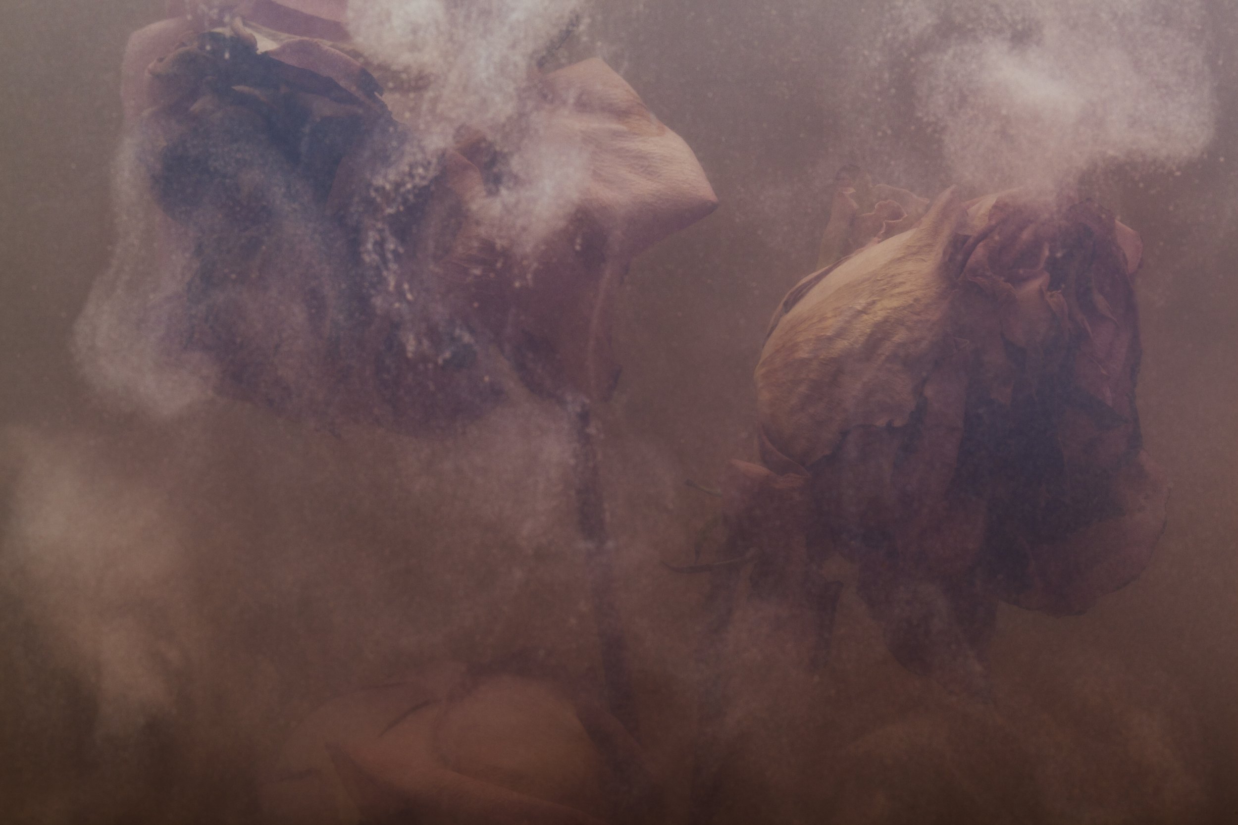 Nicholas Alan Cope Photography