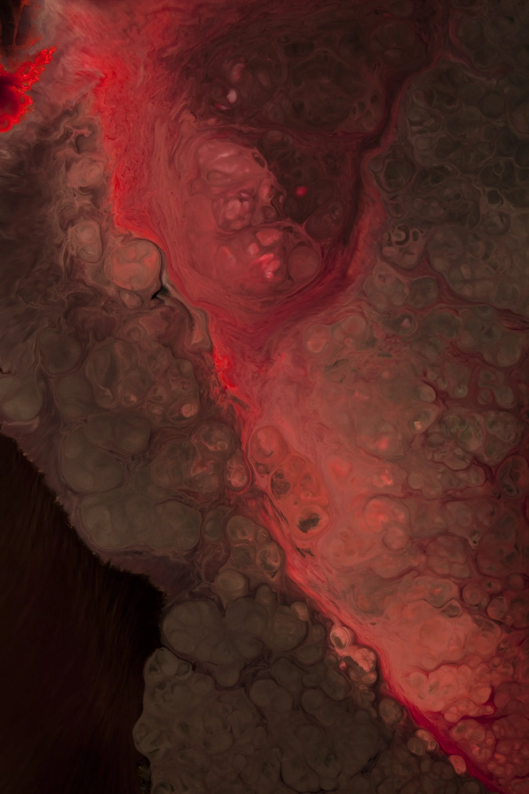 Nicholas Alan Cope Photography