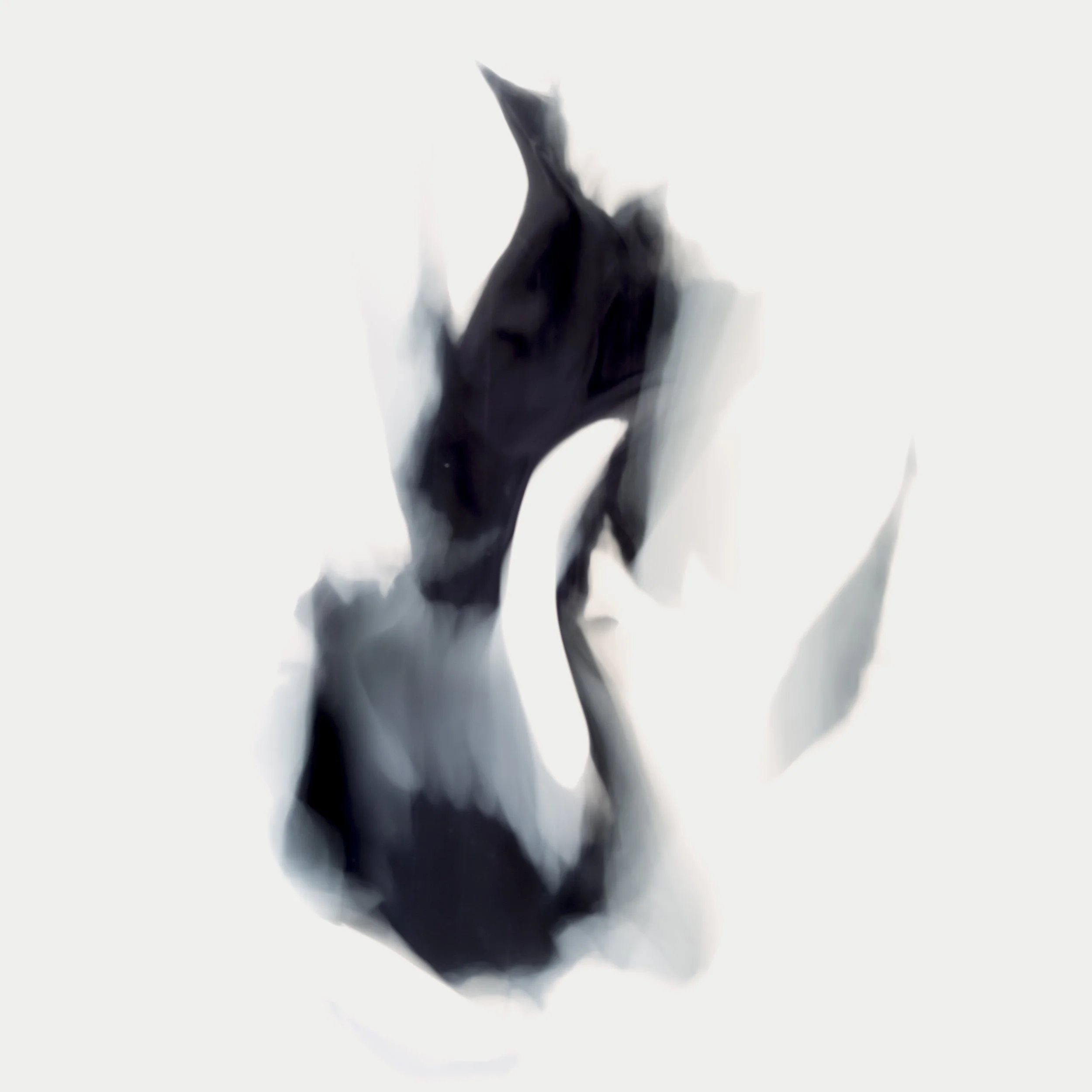 Nicholas Alan Cope Photography