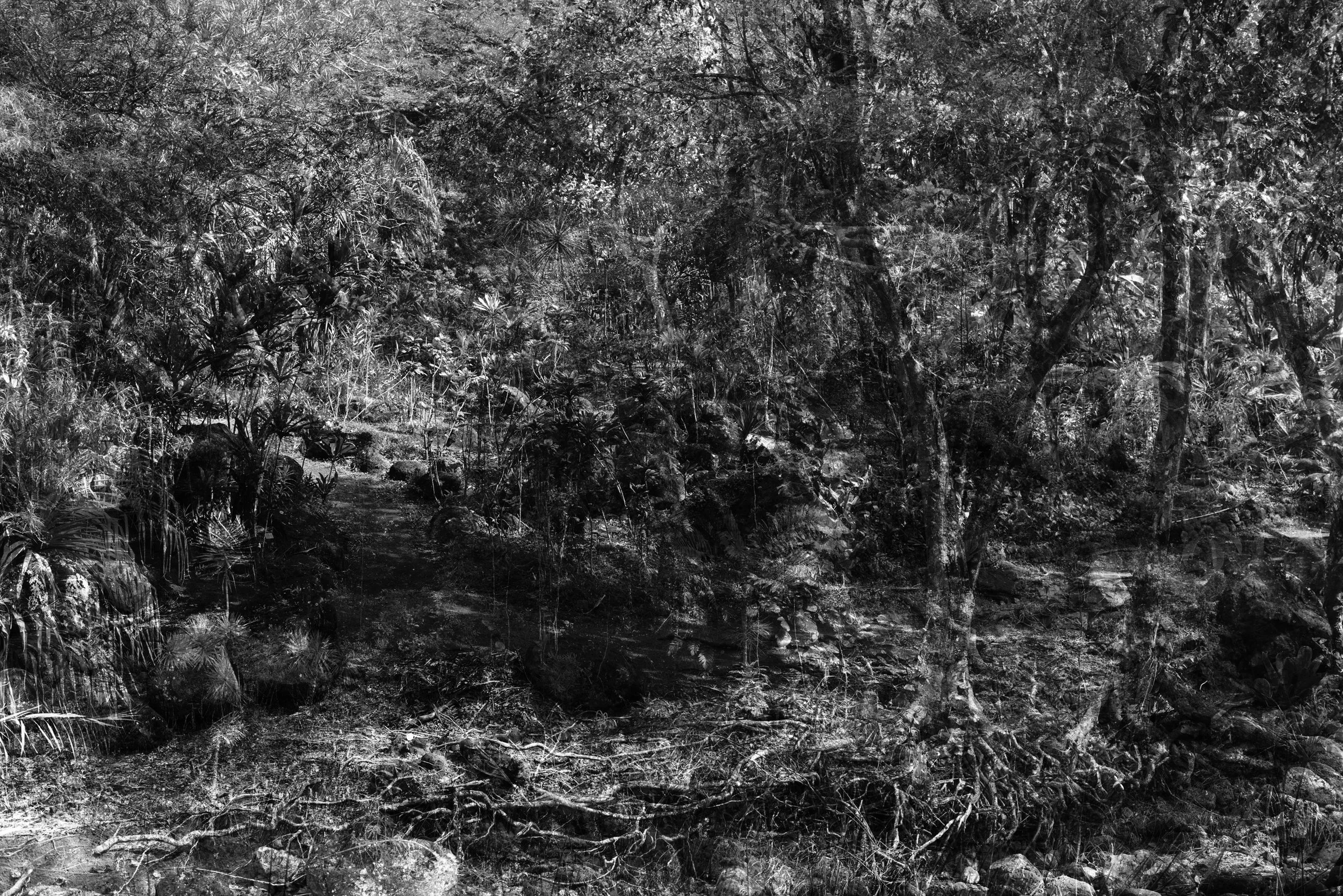 Nicholas Alan Cope Photography