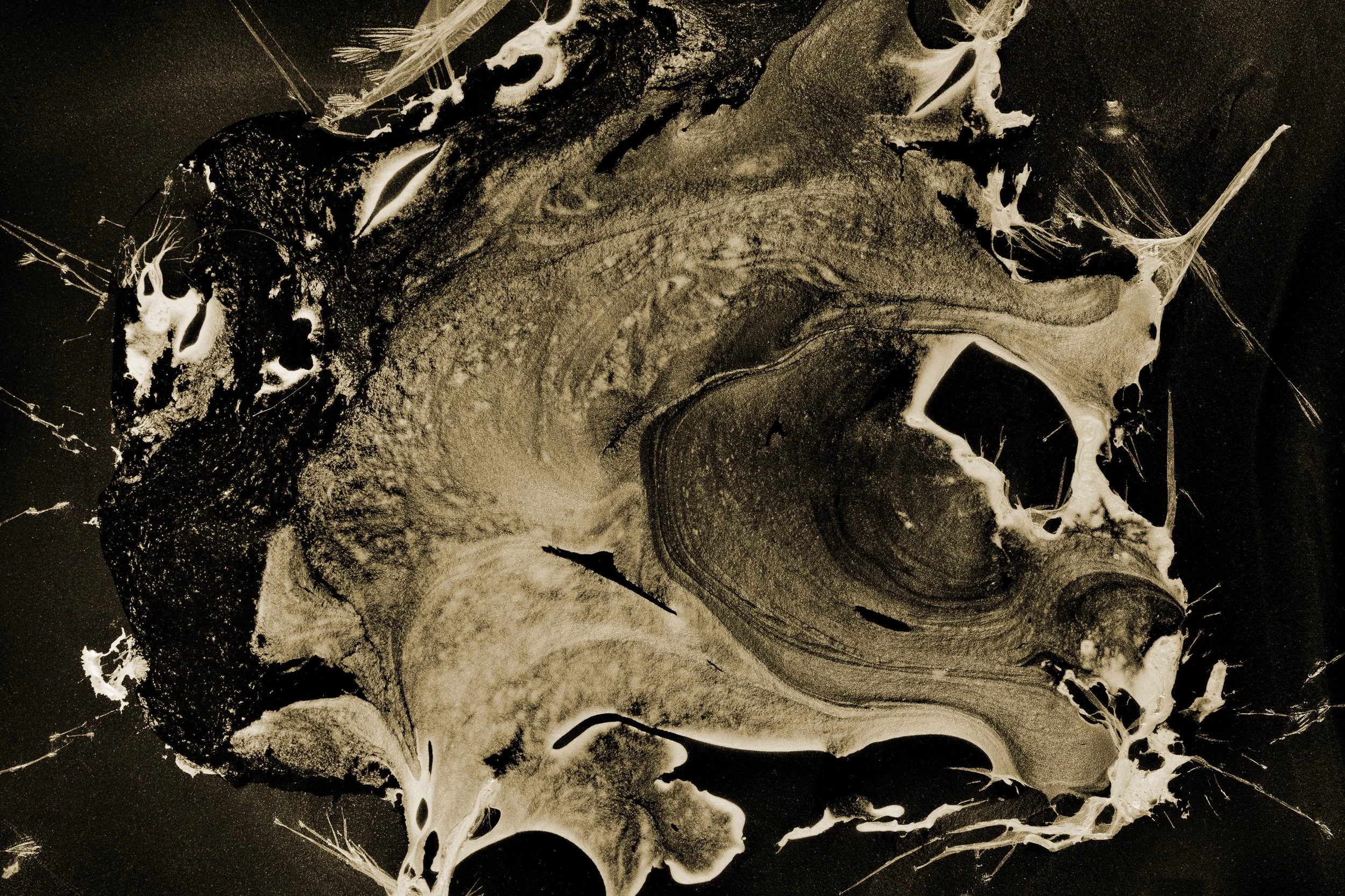 Nicholas Alan Cope Photography