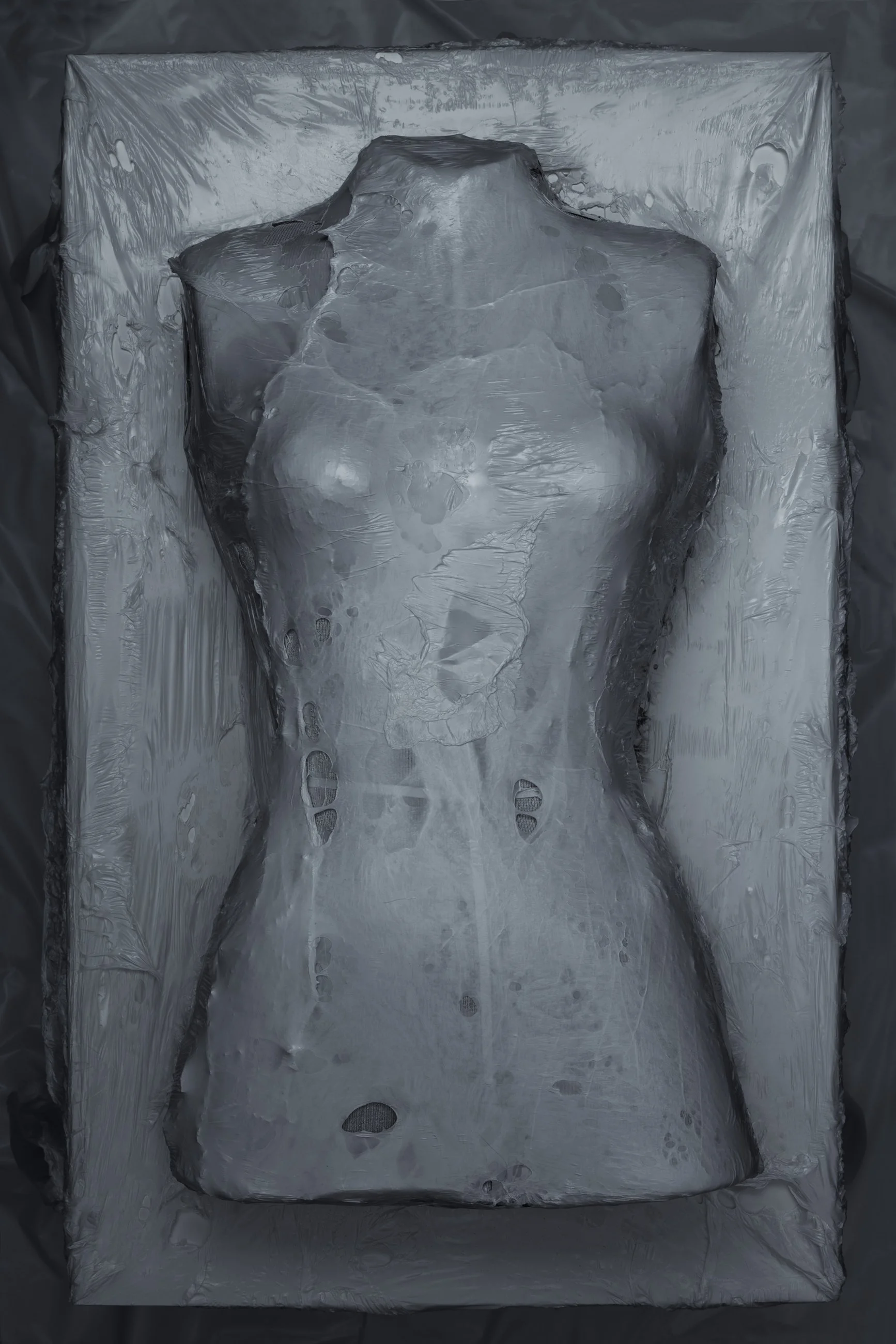 Nicholas Alan Cope Photography