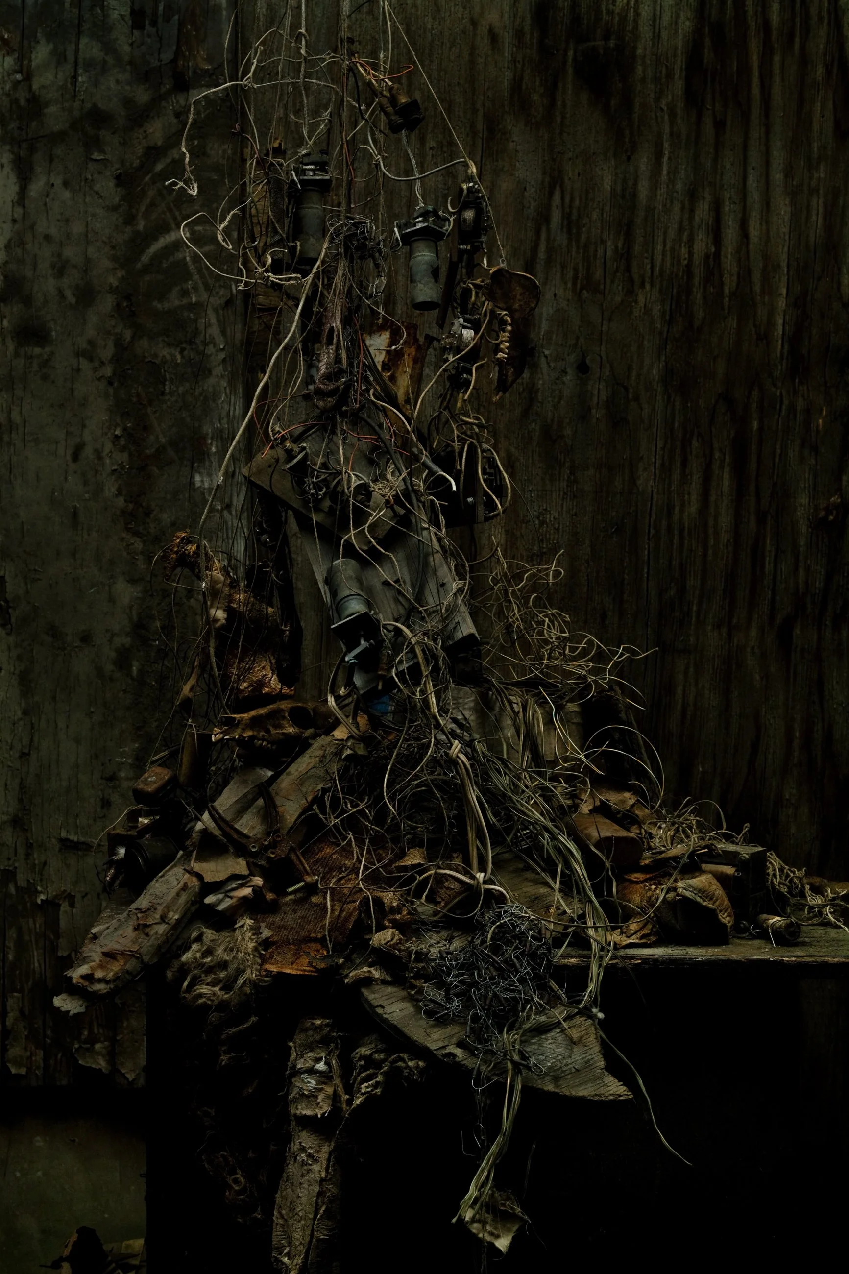 Nicholas Alan Cope Photography