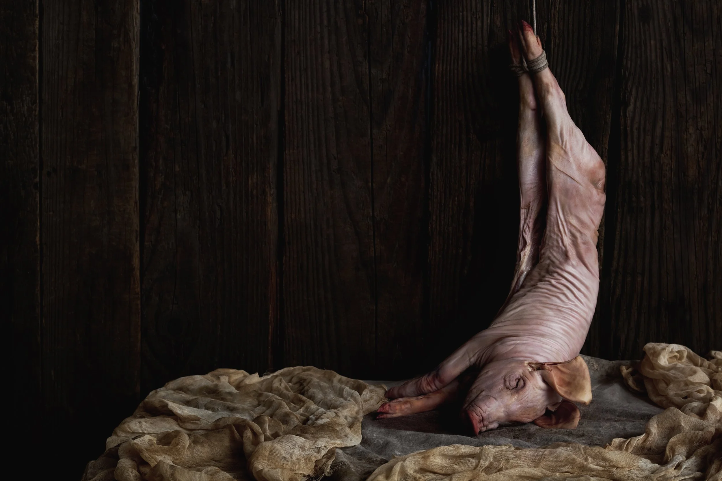 Nicholas Alan Cope Photography