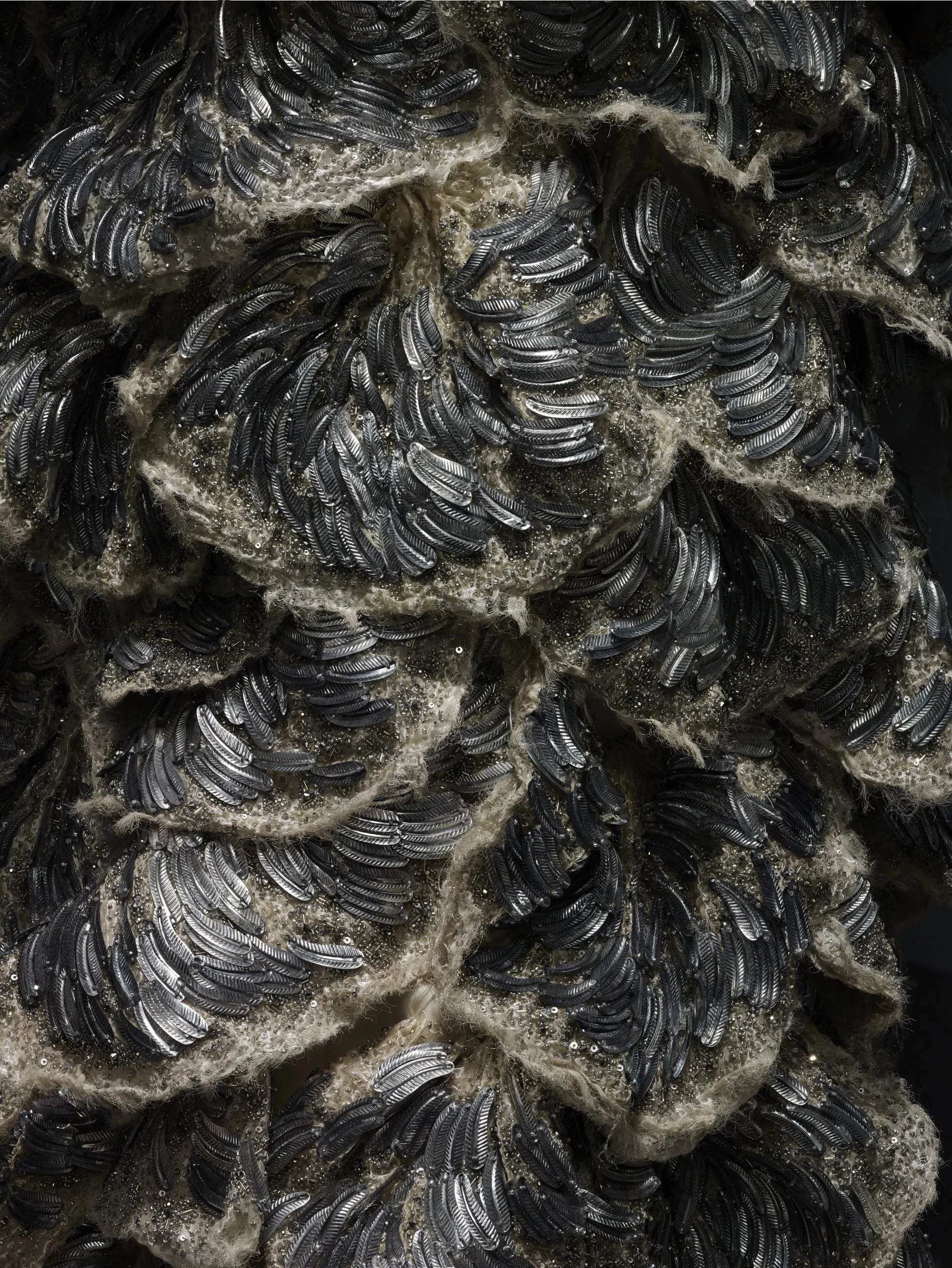 Nicholas Alan Cope Photography