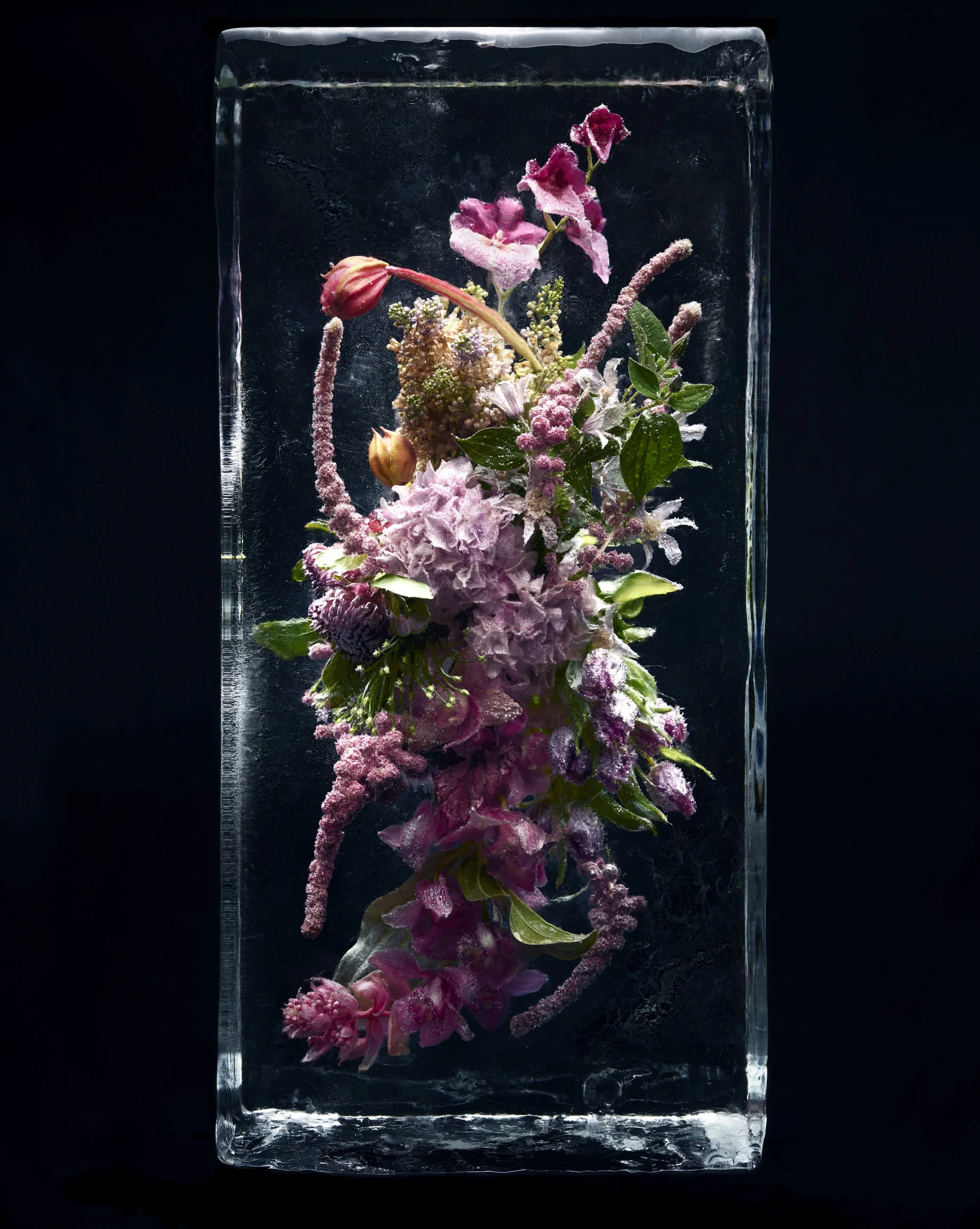 Nicholas Alan Cope Photography