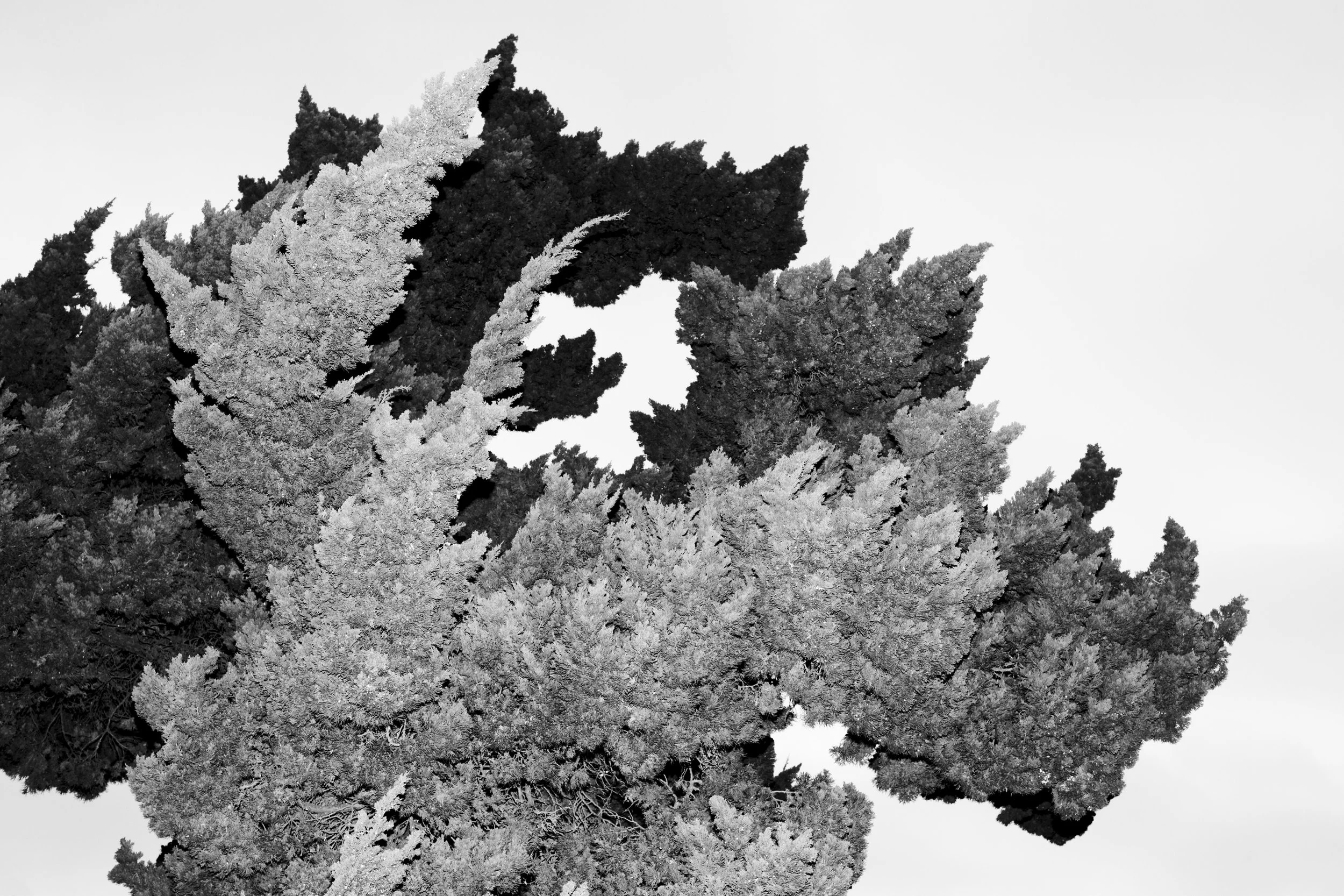 Nicholas Alan Cope Photography