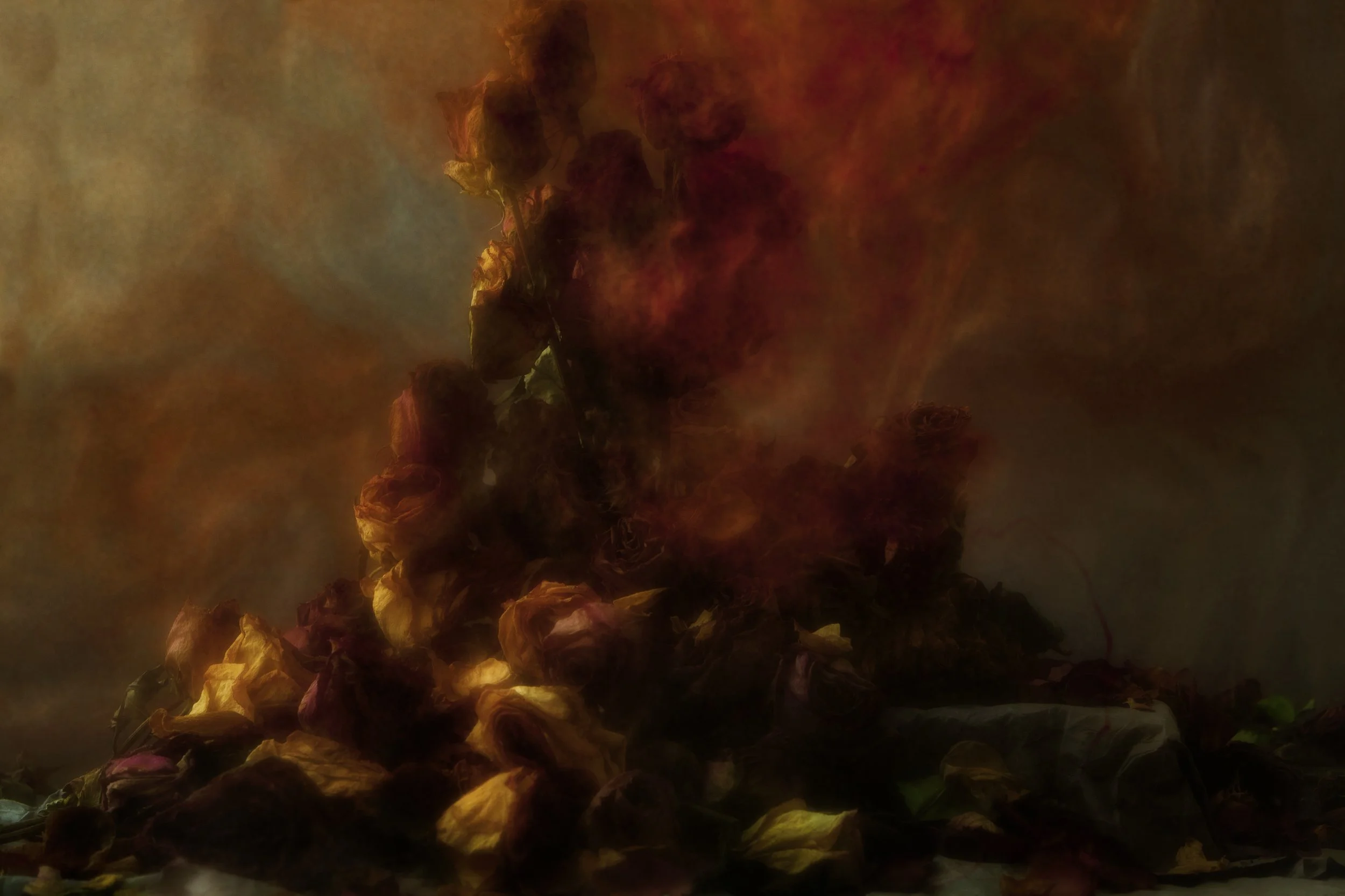 Nicholas Alan Cope Photography