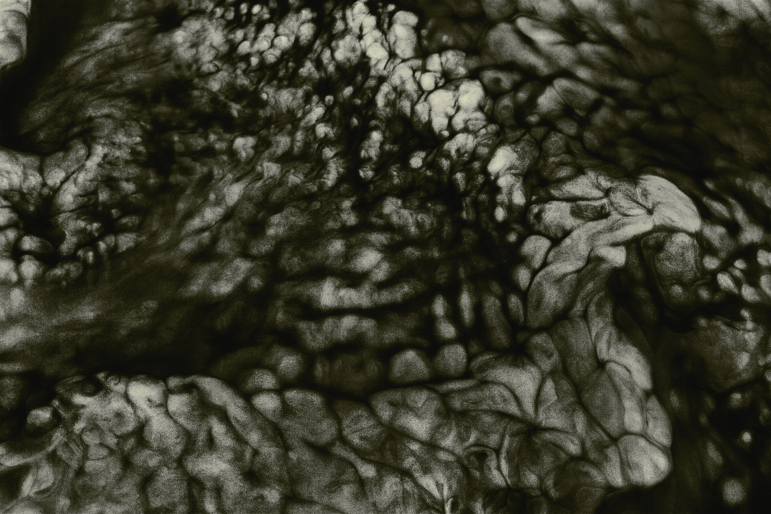 Nicholas Alan Cope Photography