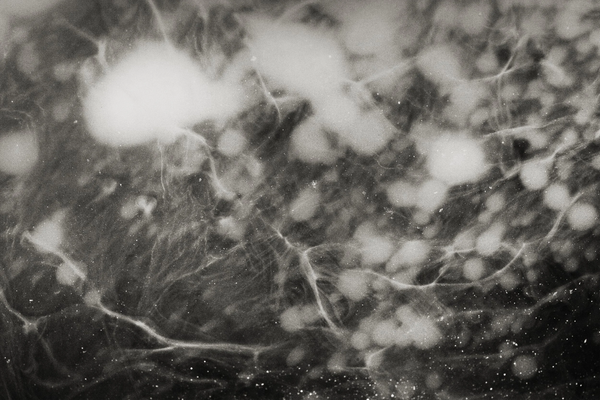 Nicholas Alan Cope Photography