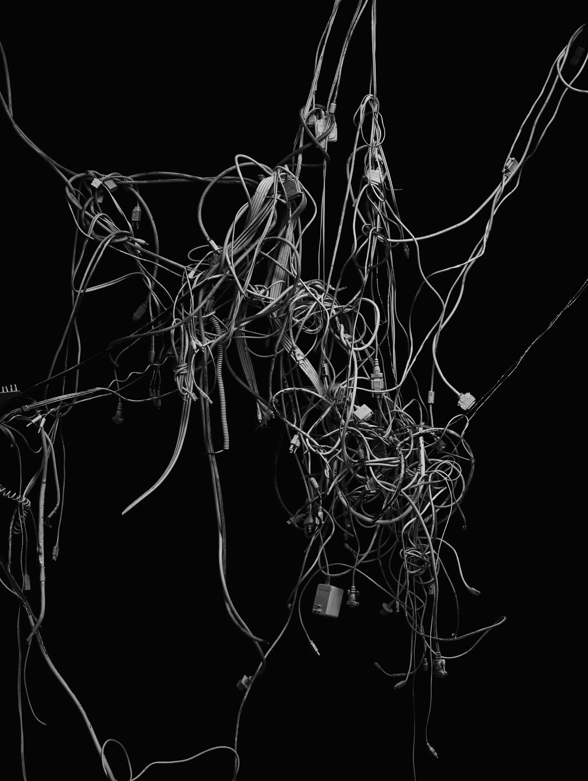 Nicholas Alan Cope Photography