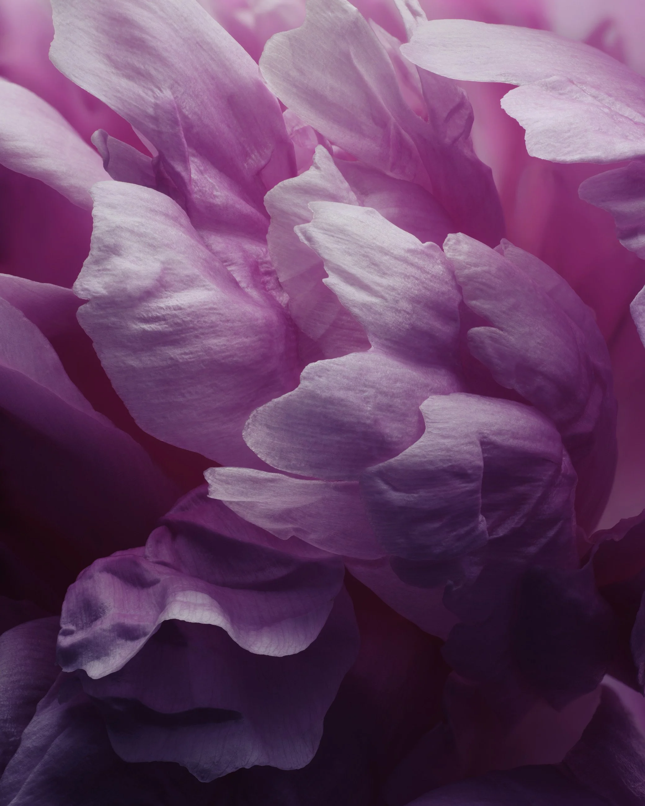 Nicholas Alan Cope Photography