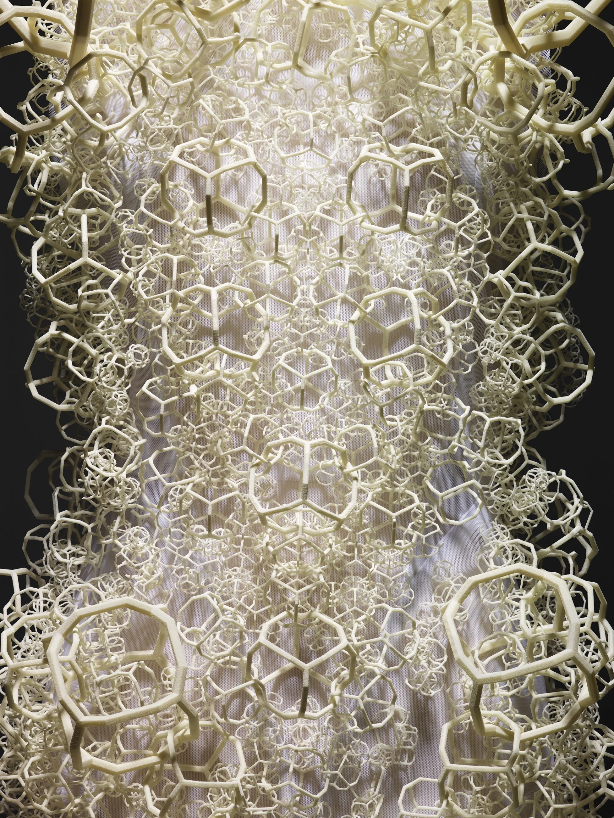 Nicholas Alan Cope Photography