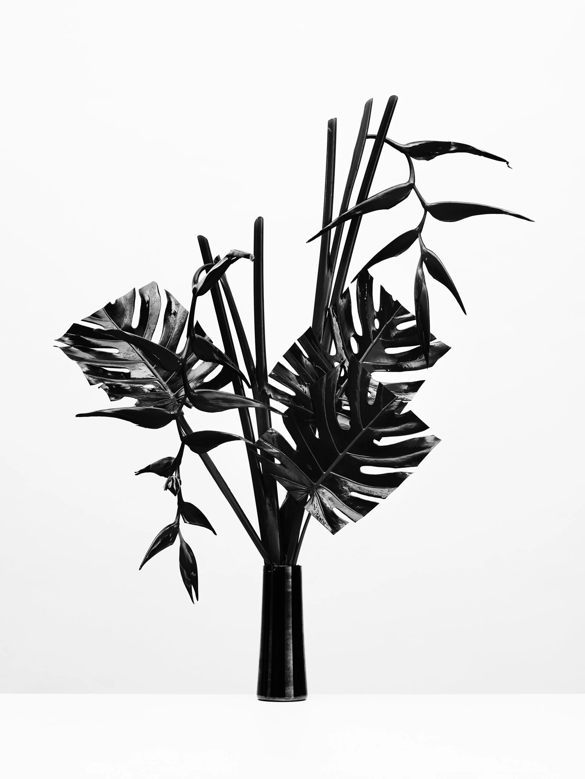 Nicholas Alan Cope Photography