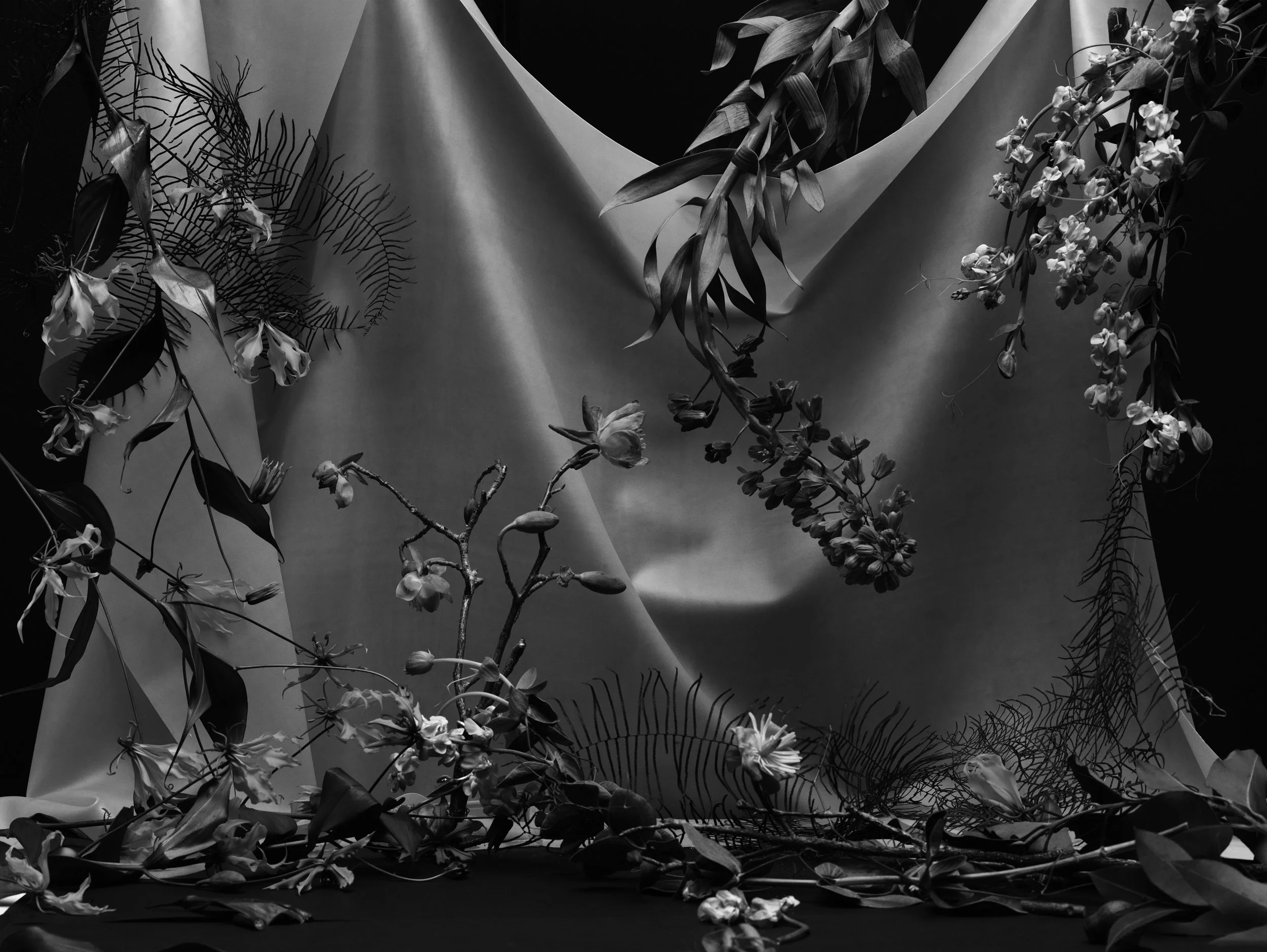 Nicholas Alan Cope Photography