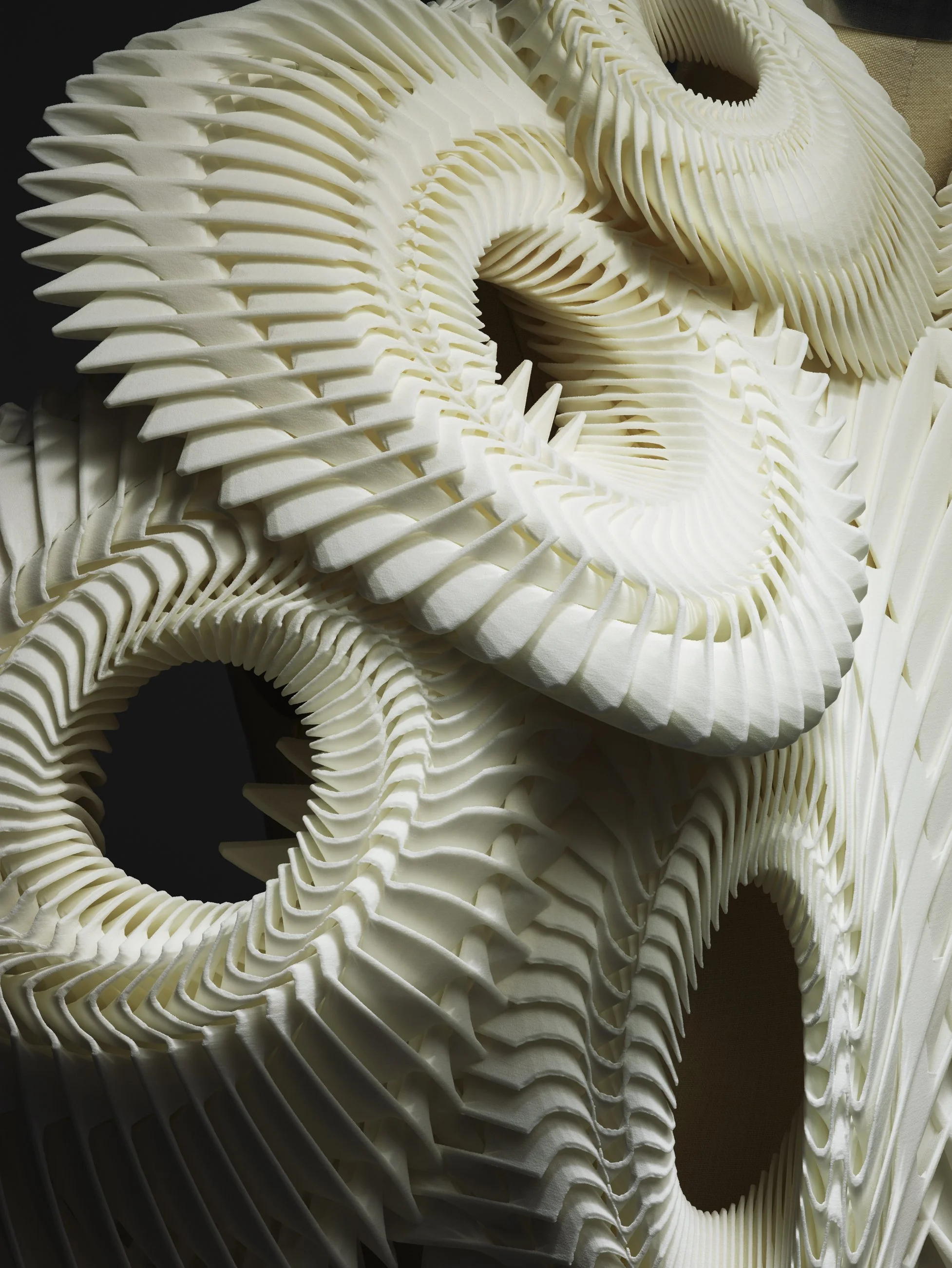 Nicholas Alan Cope Photography