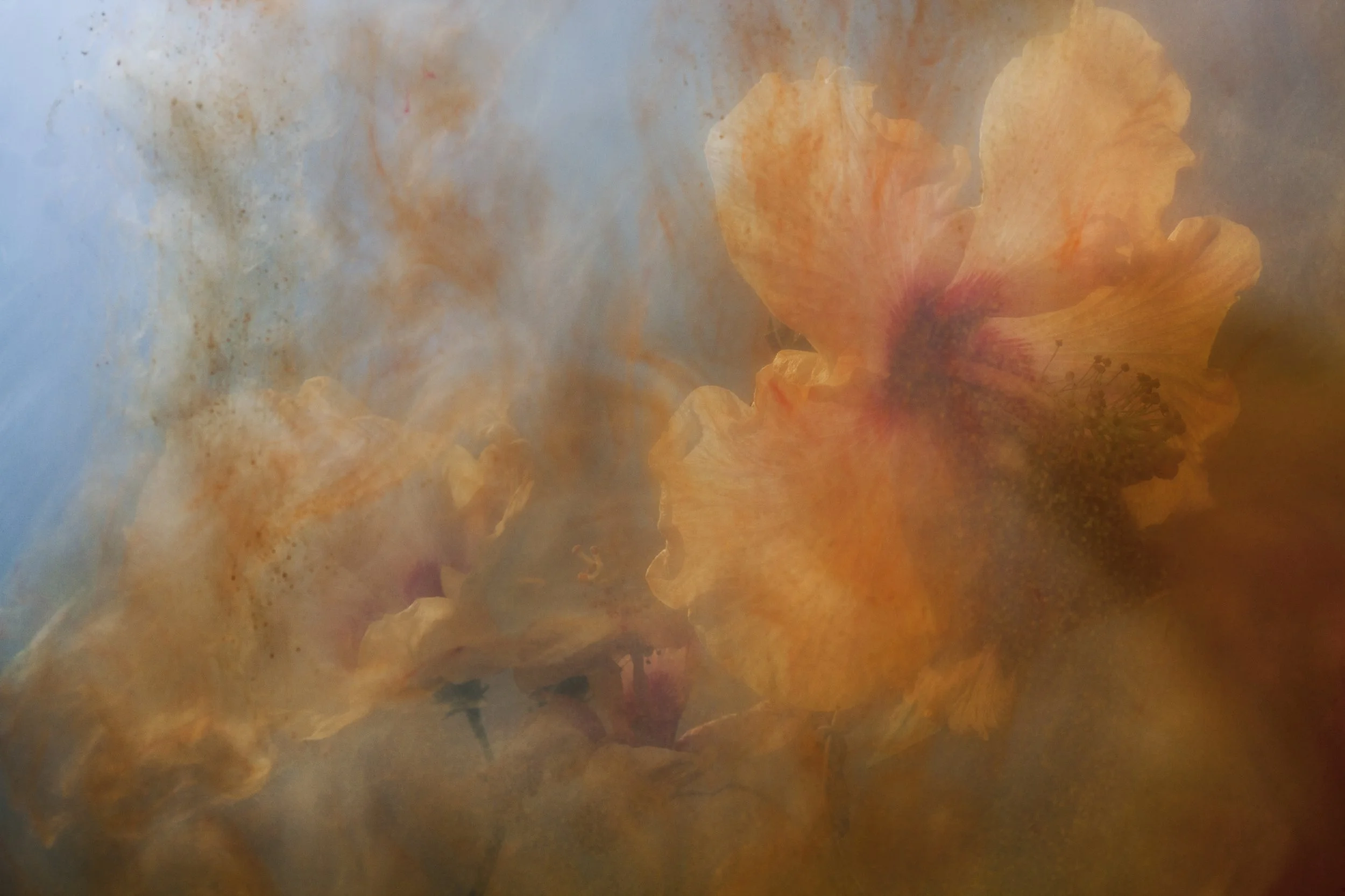 Nicholas Alan Cope Photography