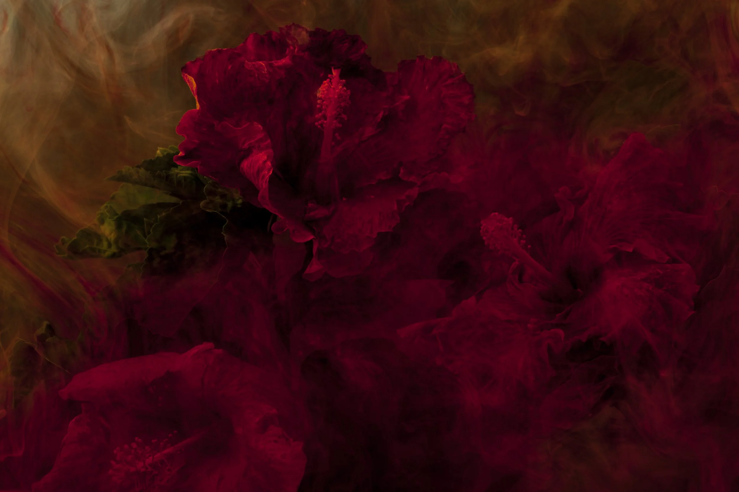 Nicholas Alan Cope Photography