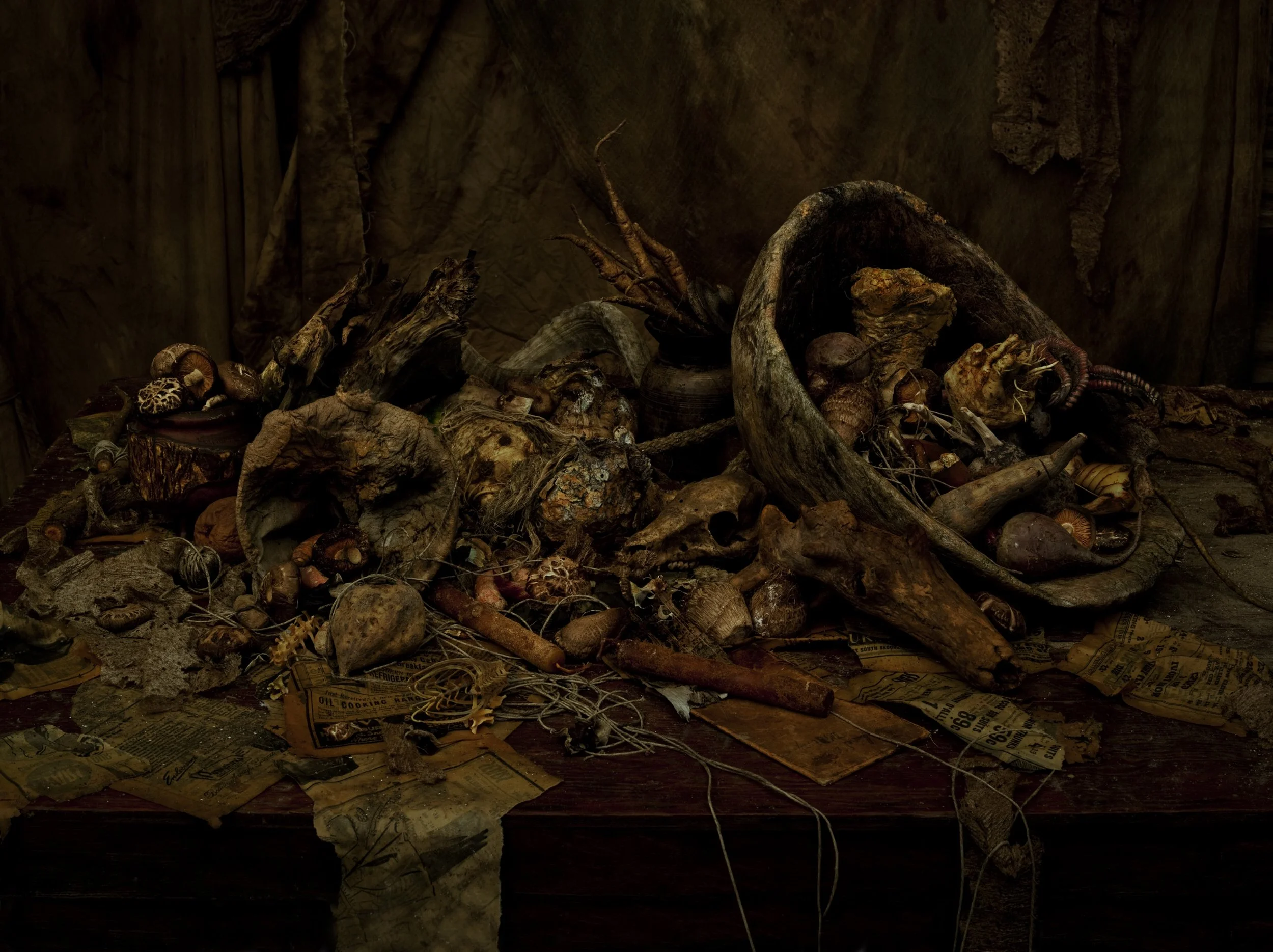 Nicholas Alan Cope Photography