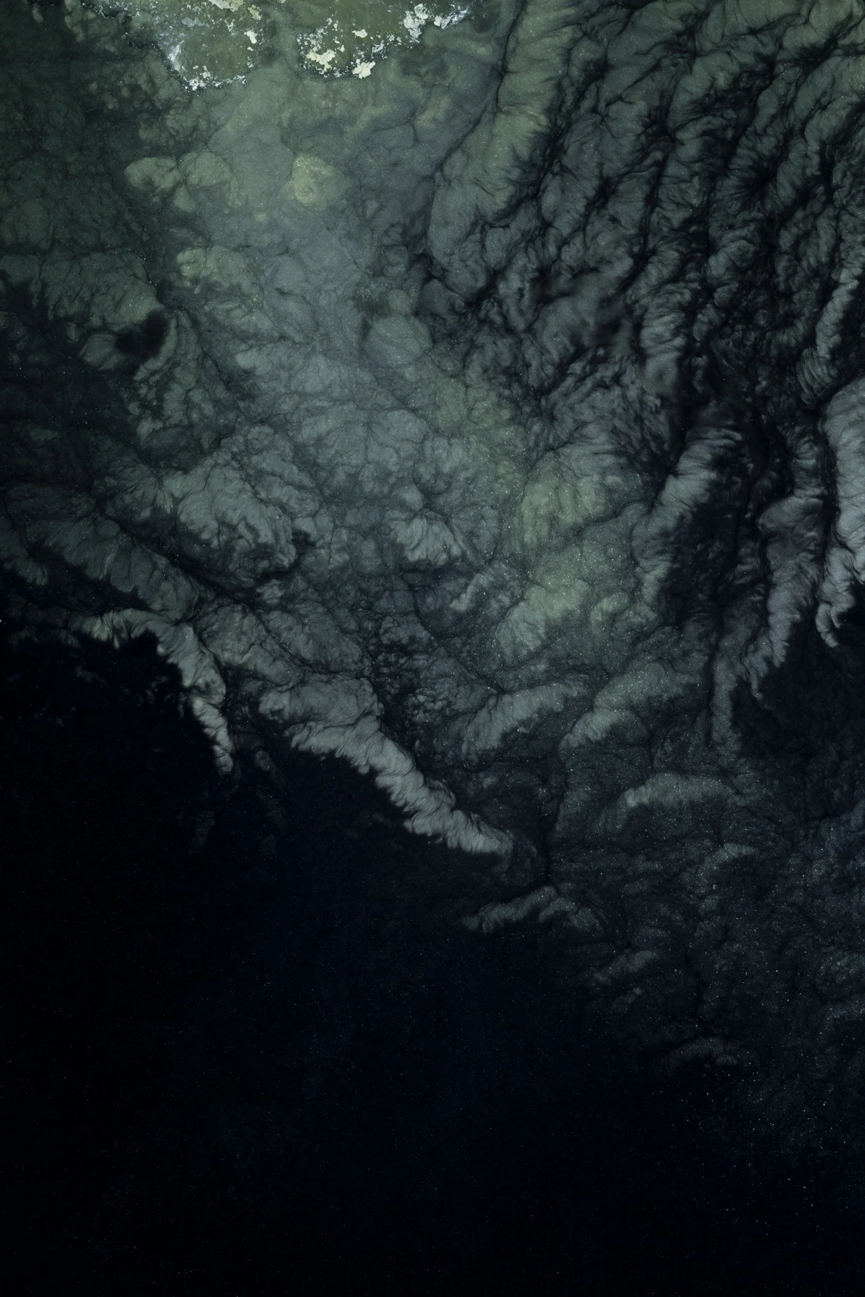 Nicholas Alan Cope Photography