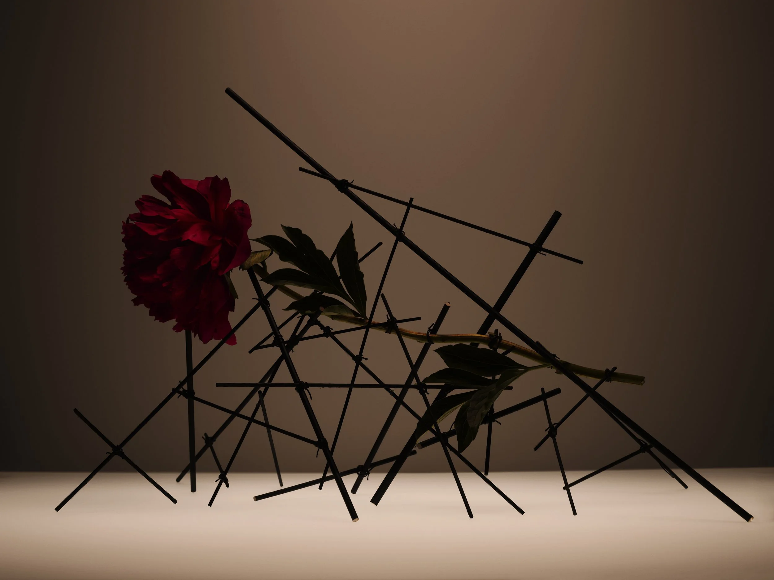 Nicholas Alan Cope Photography