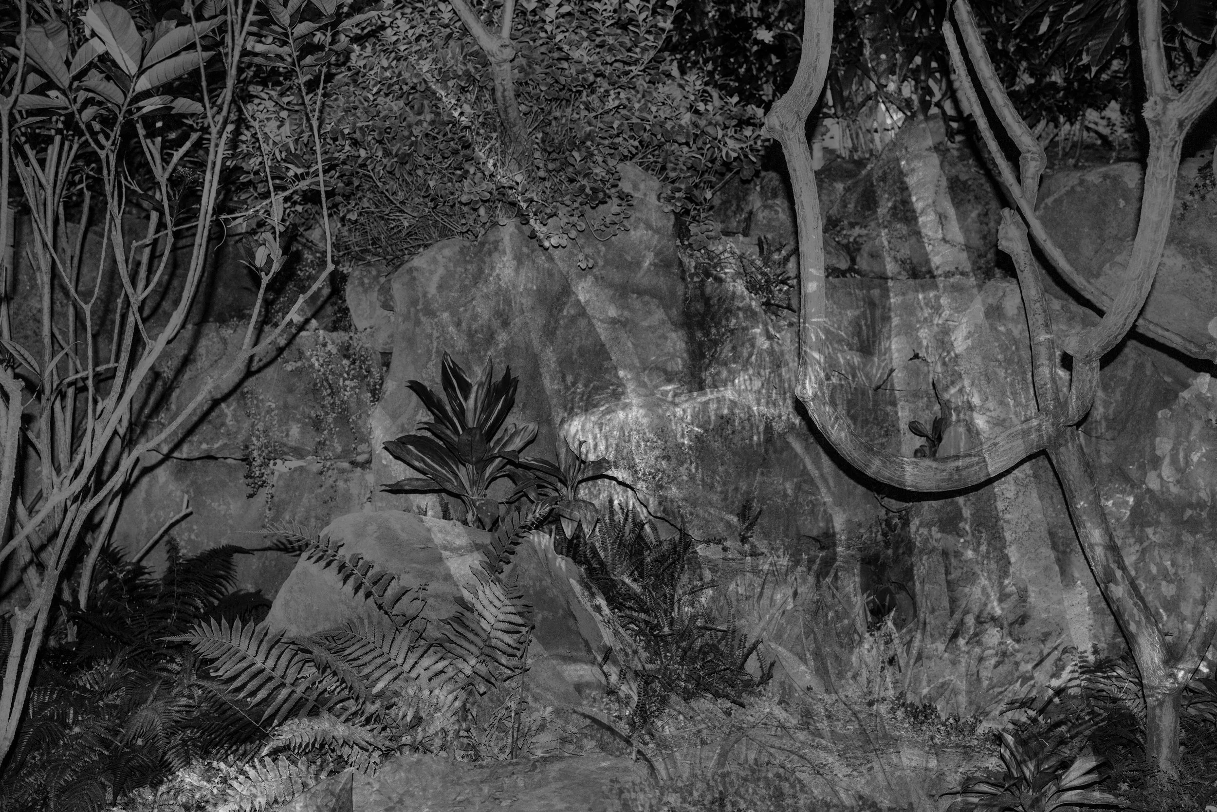 Nicholas Alan Cope Photography