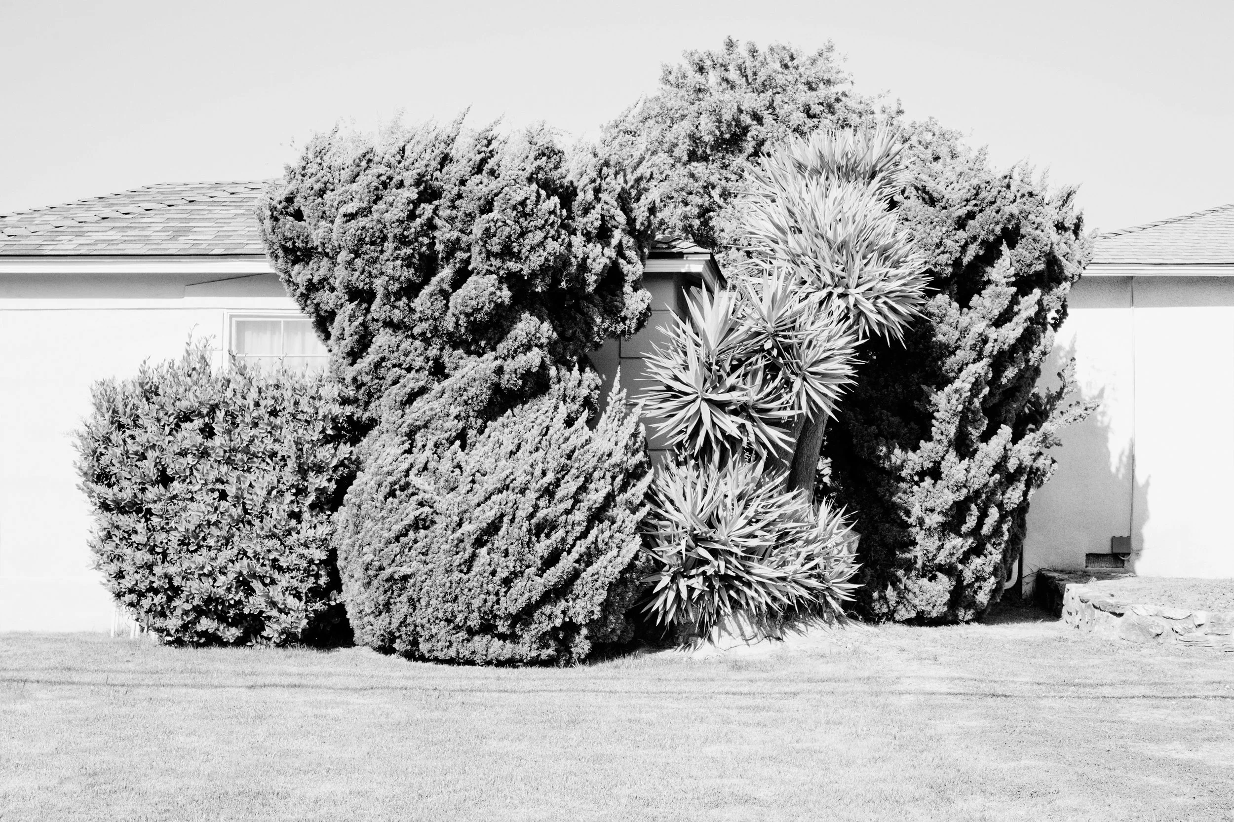 Nicholas Alan Cope Photography