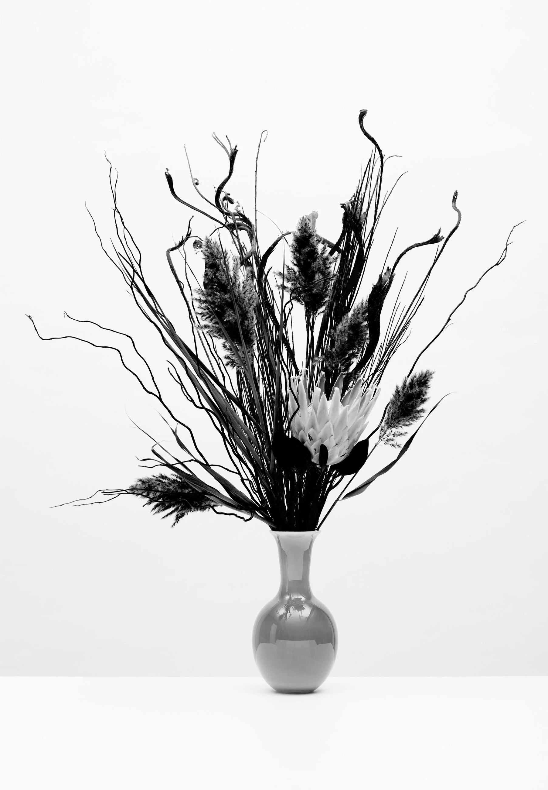 Nicholas Alan Cope Photography