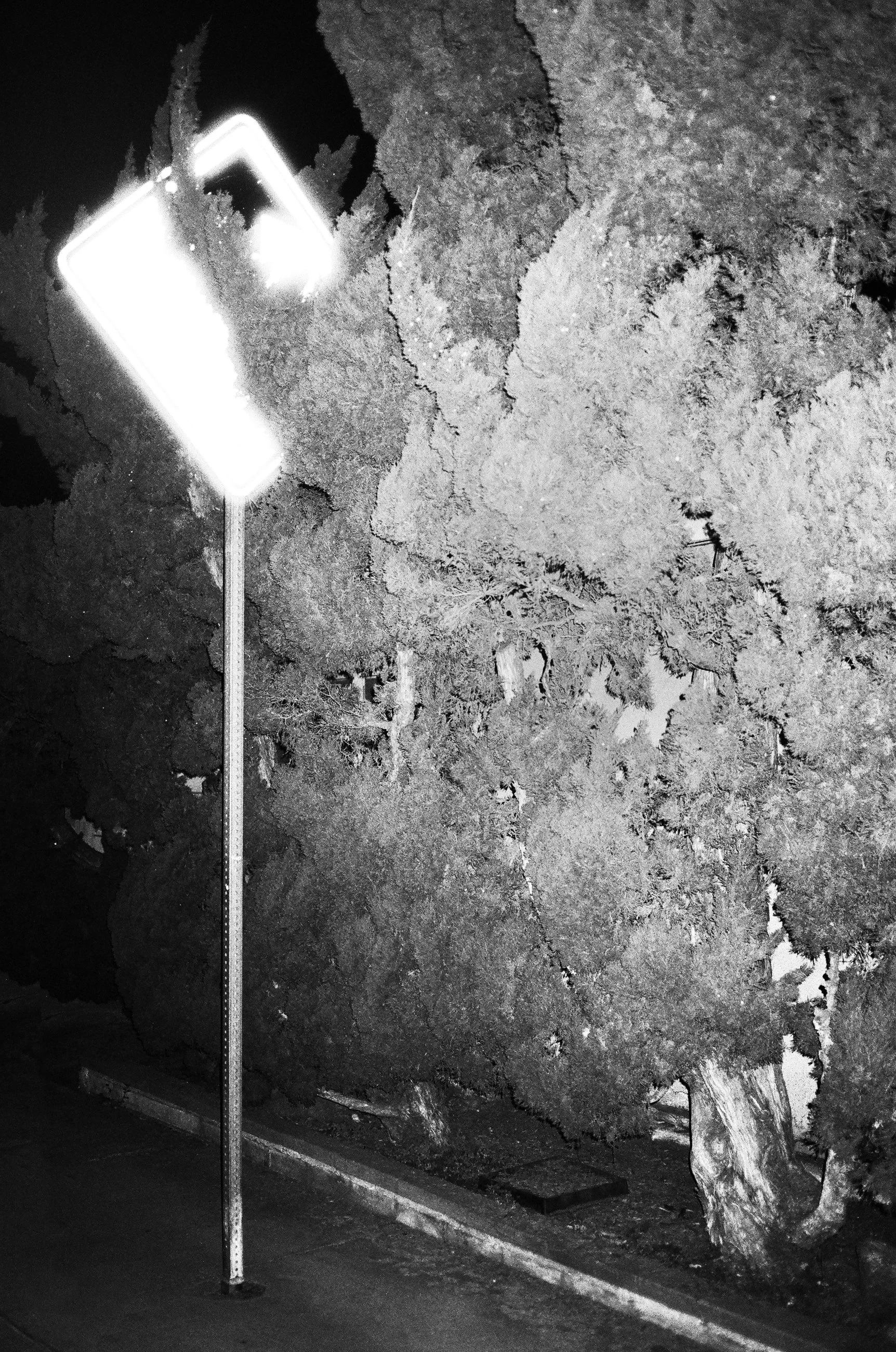 Nicholas Alan Cope Photography