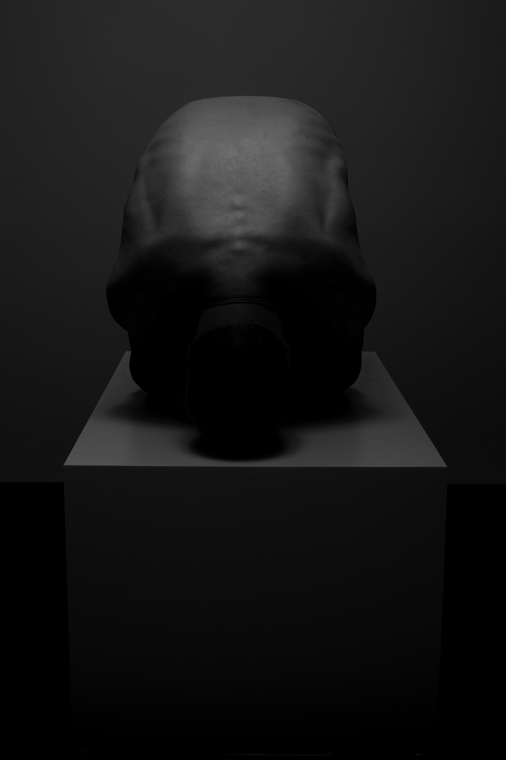 Nicholas Alan Cope Photography