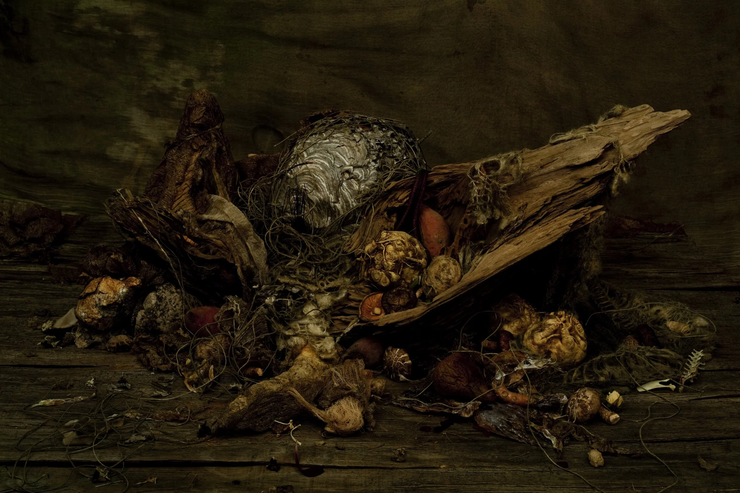 Nicholas Alan Cope Photography