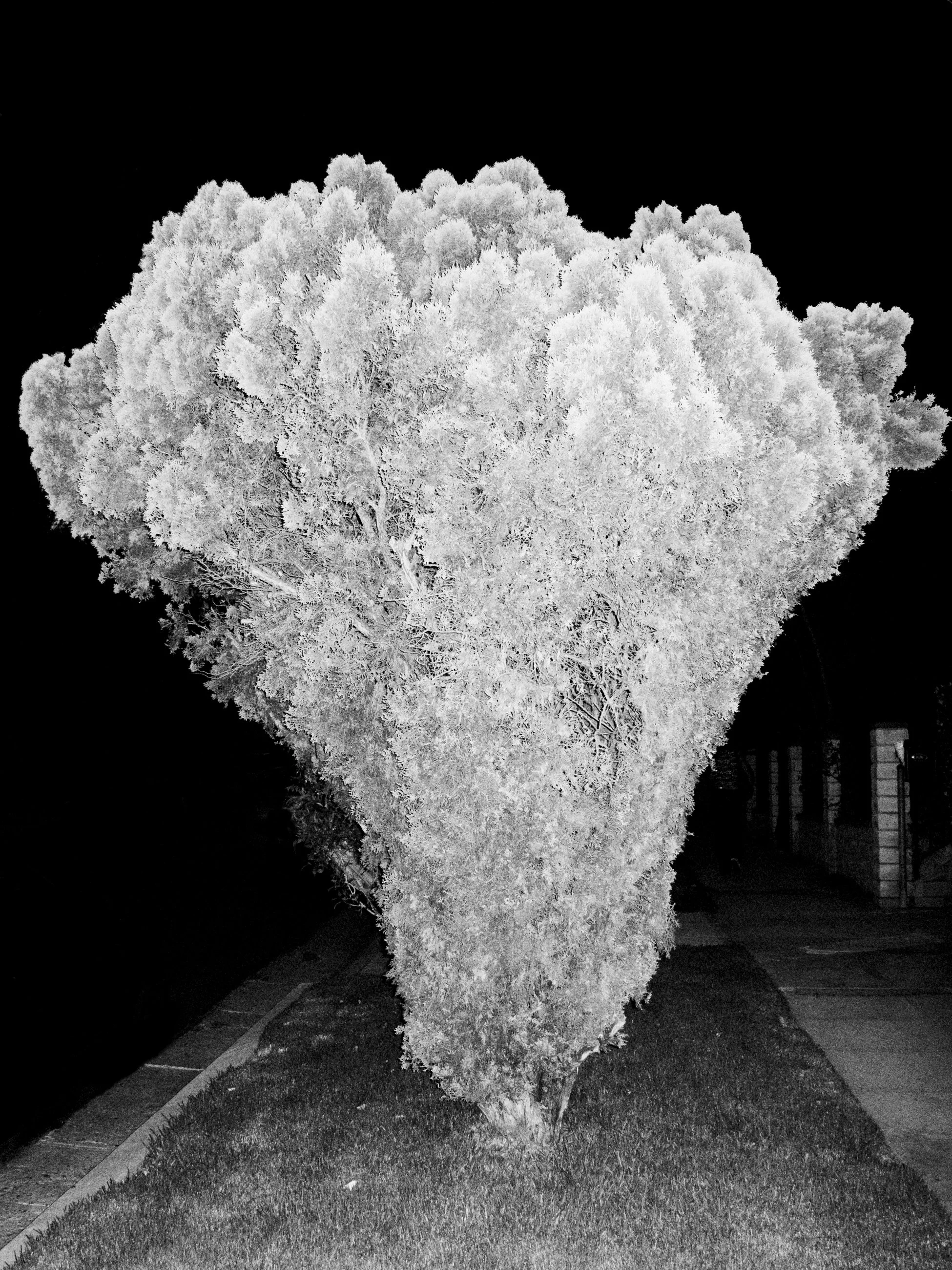 Nicholas Alan Cope Photography