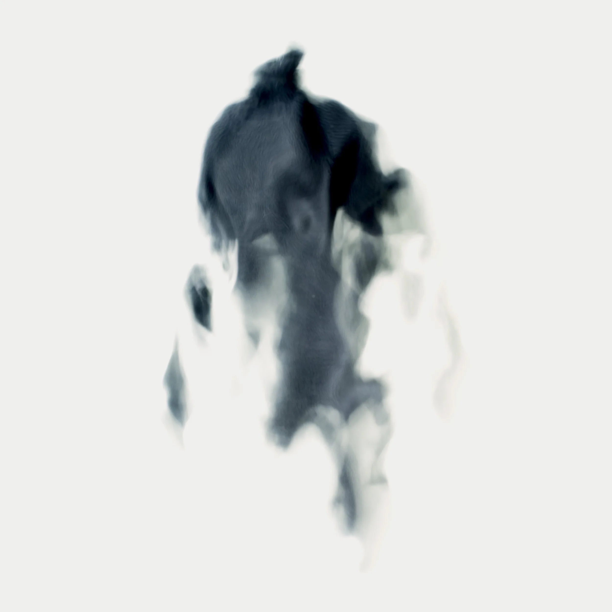 Nicholas Alan Cope Photography