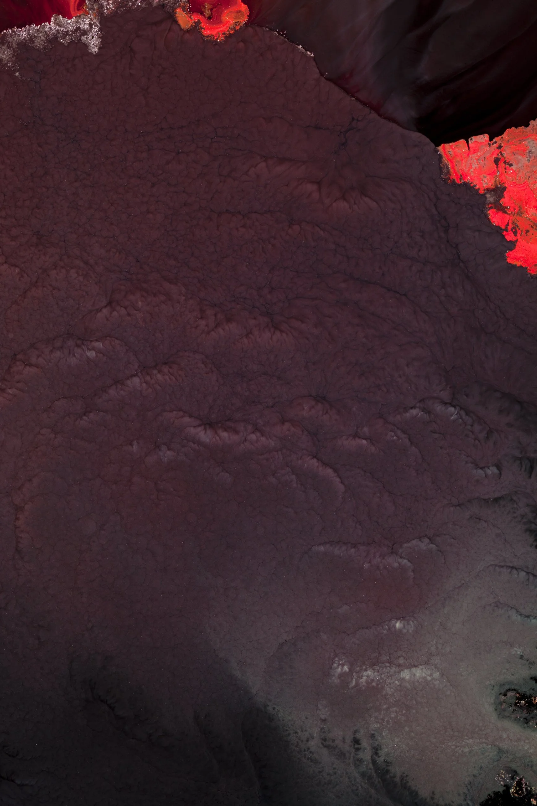 Nicholas Alan Cope Photography