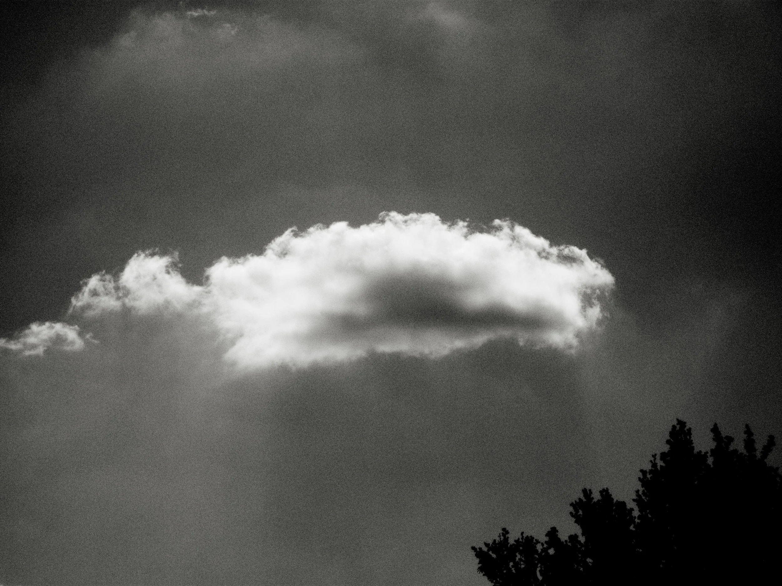 Nicholas Alan Cope Photography