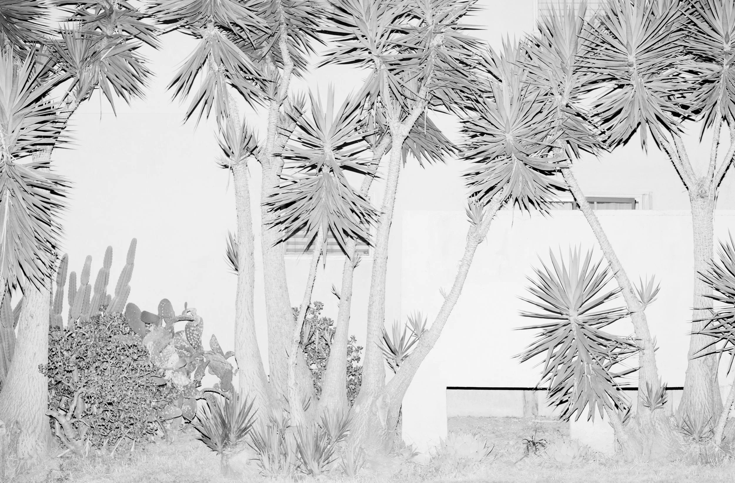 Nicholas Alan Cope Photography