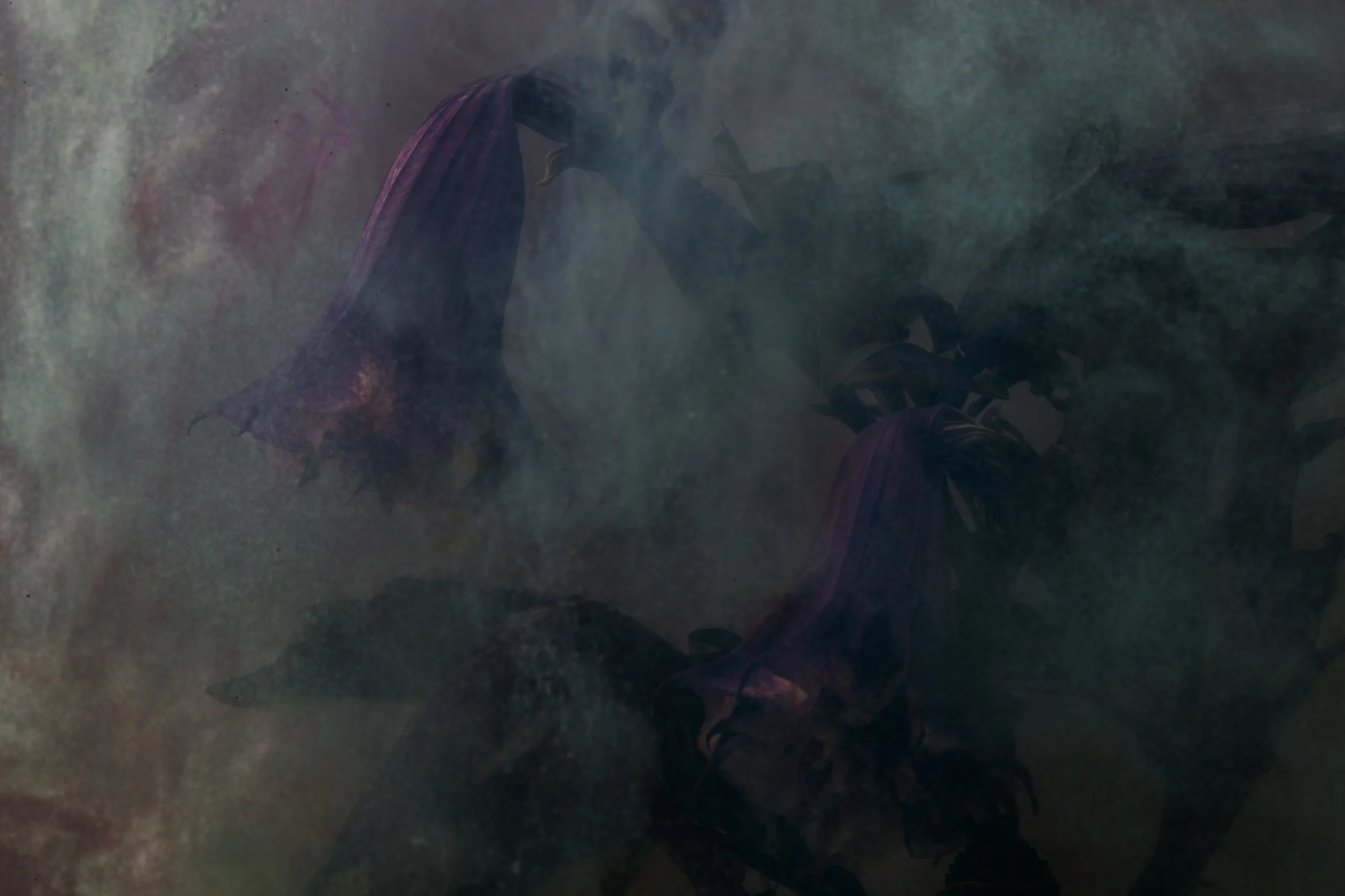 Nicholas Alan Cope Photography