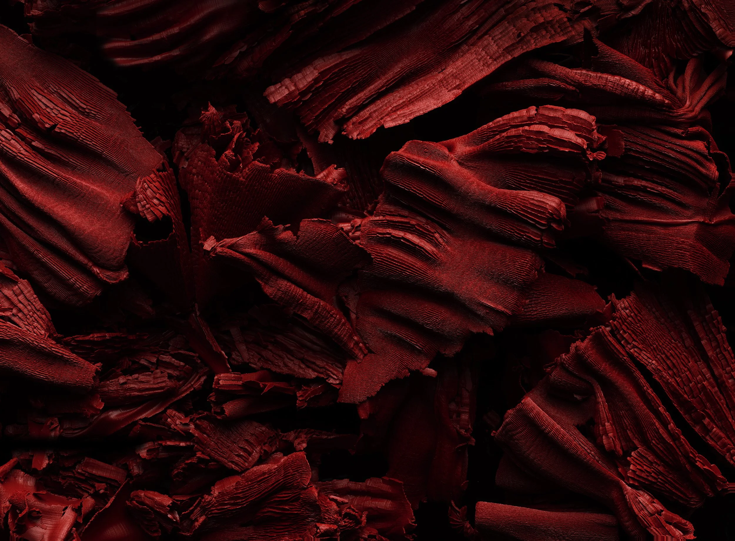 Nicholas Alan Cope Photography