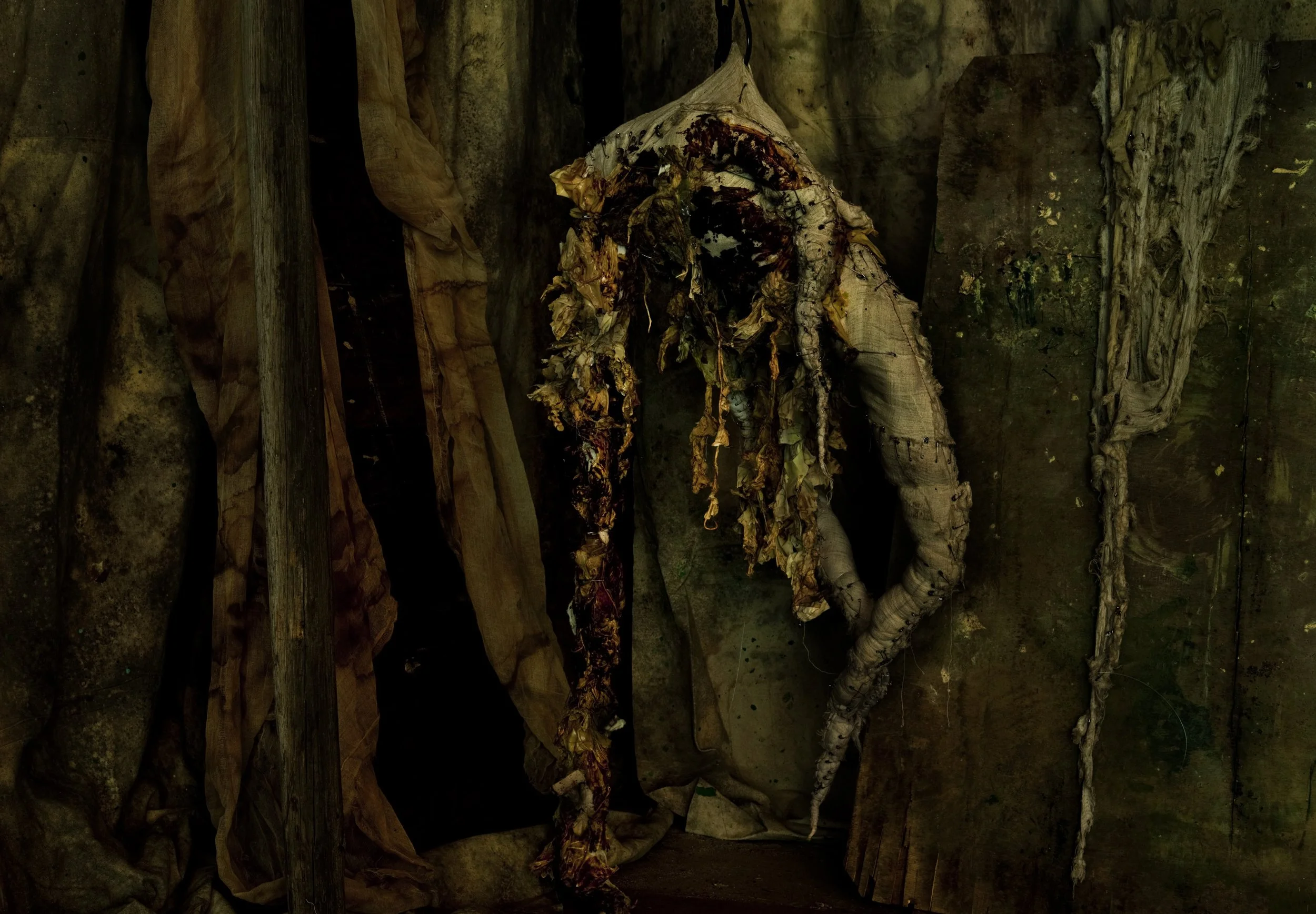 Nicholas Alan Cope Photography