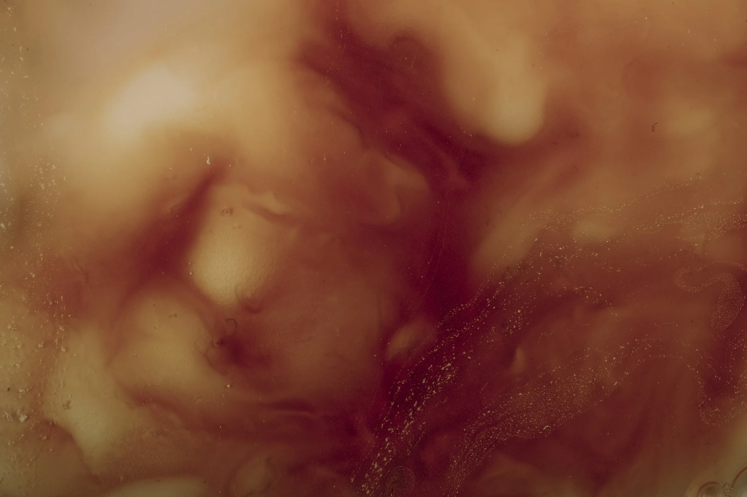 Nicholas Alan Cope Photography