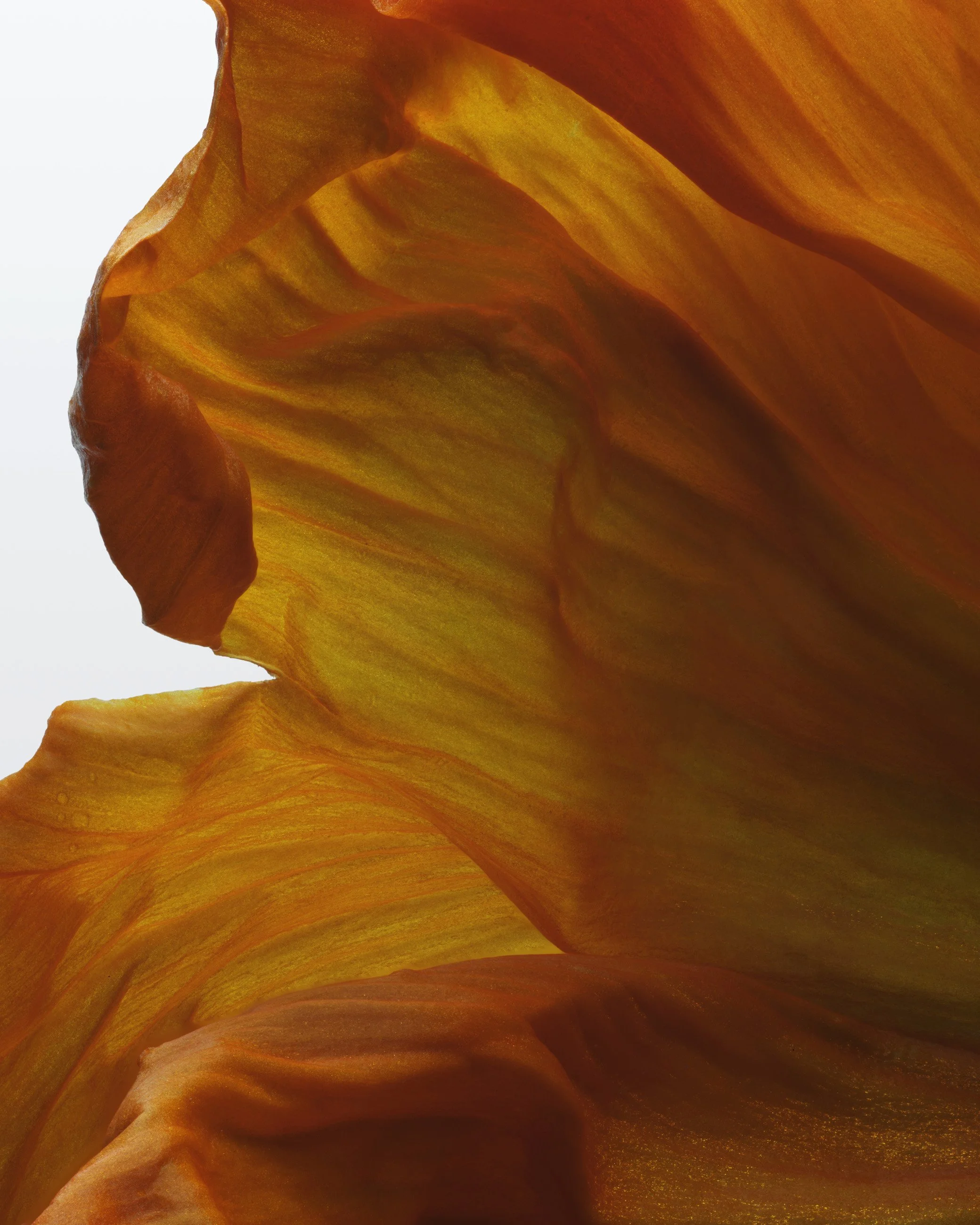 Nicholas Alan Cope Photography