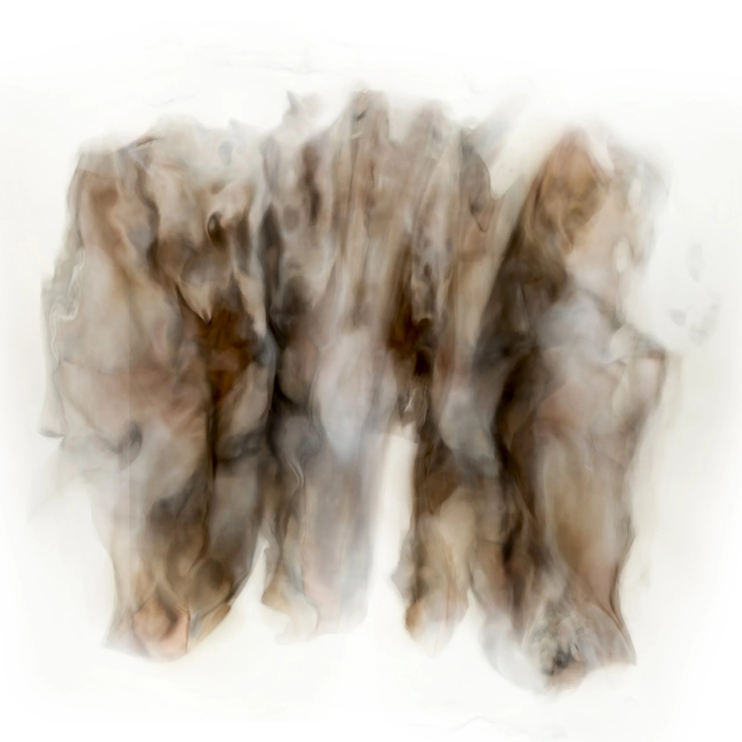 Nicholas Alan Cope Photography