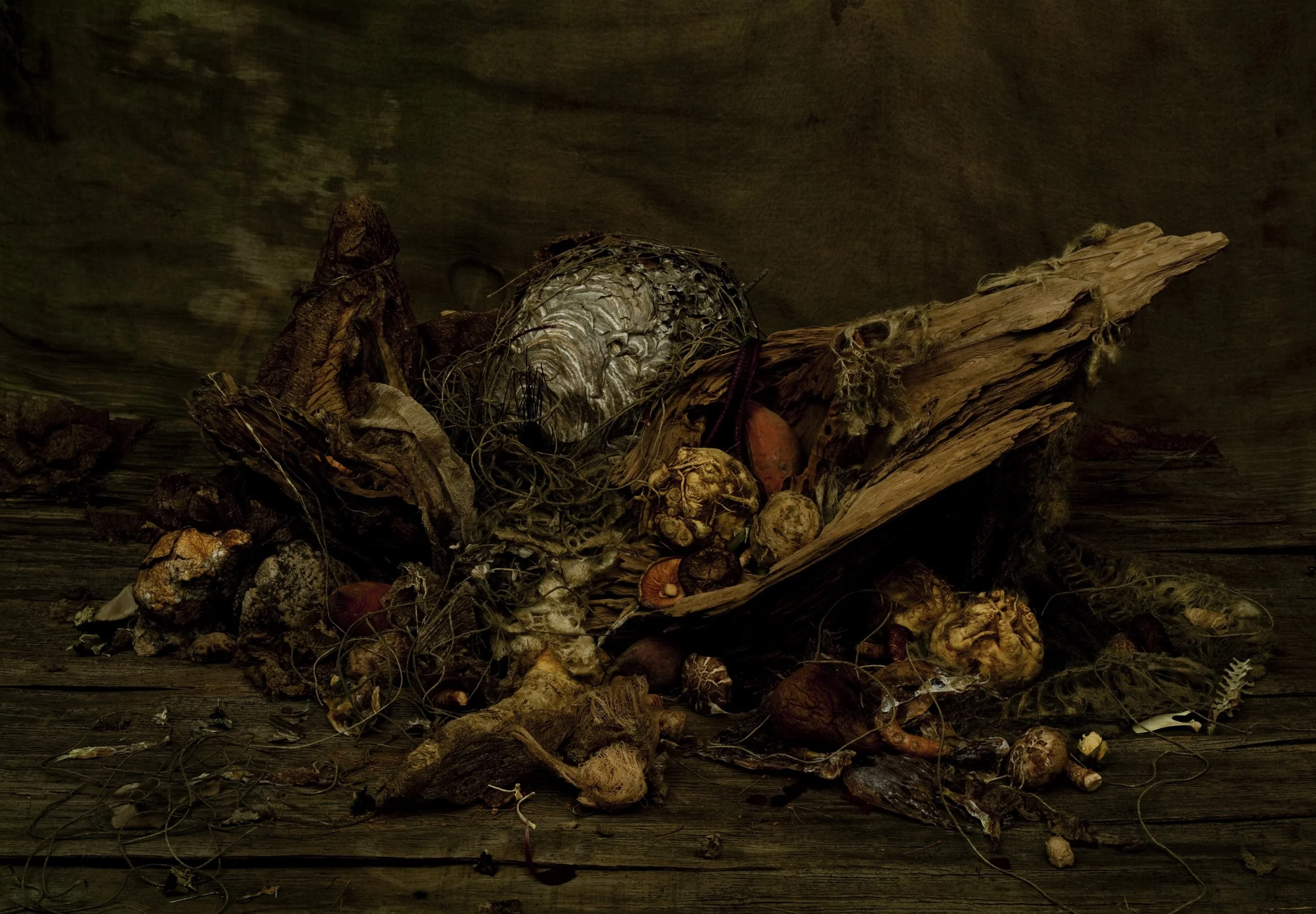 Nicholas Alan Cope Photography