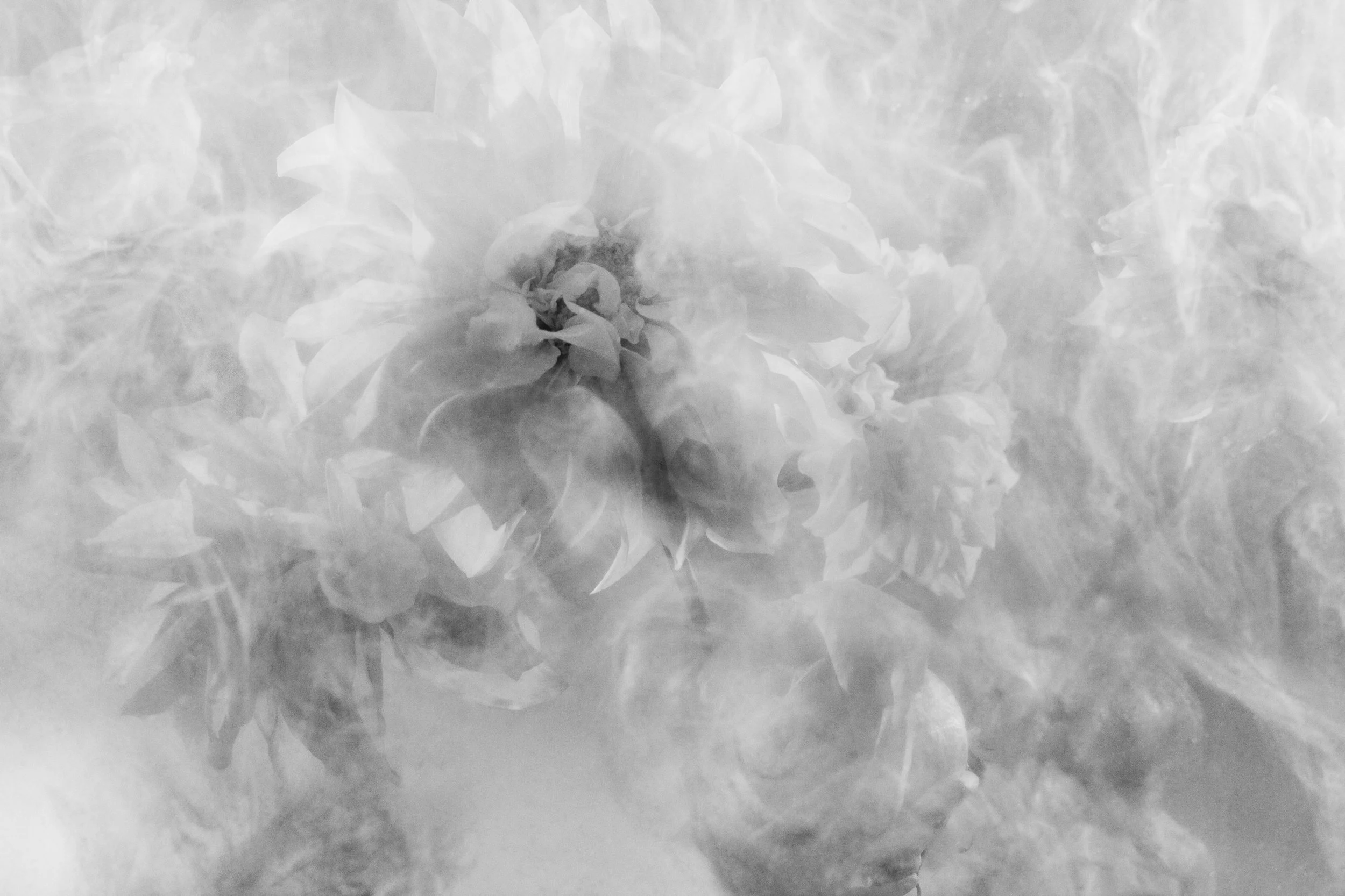 Nicholas Alan Cope Photography