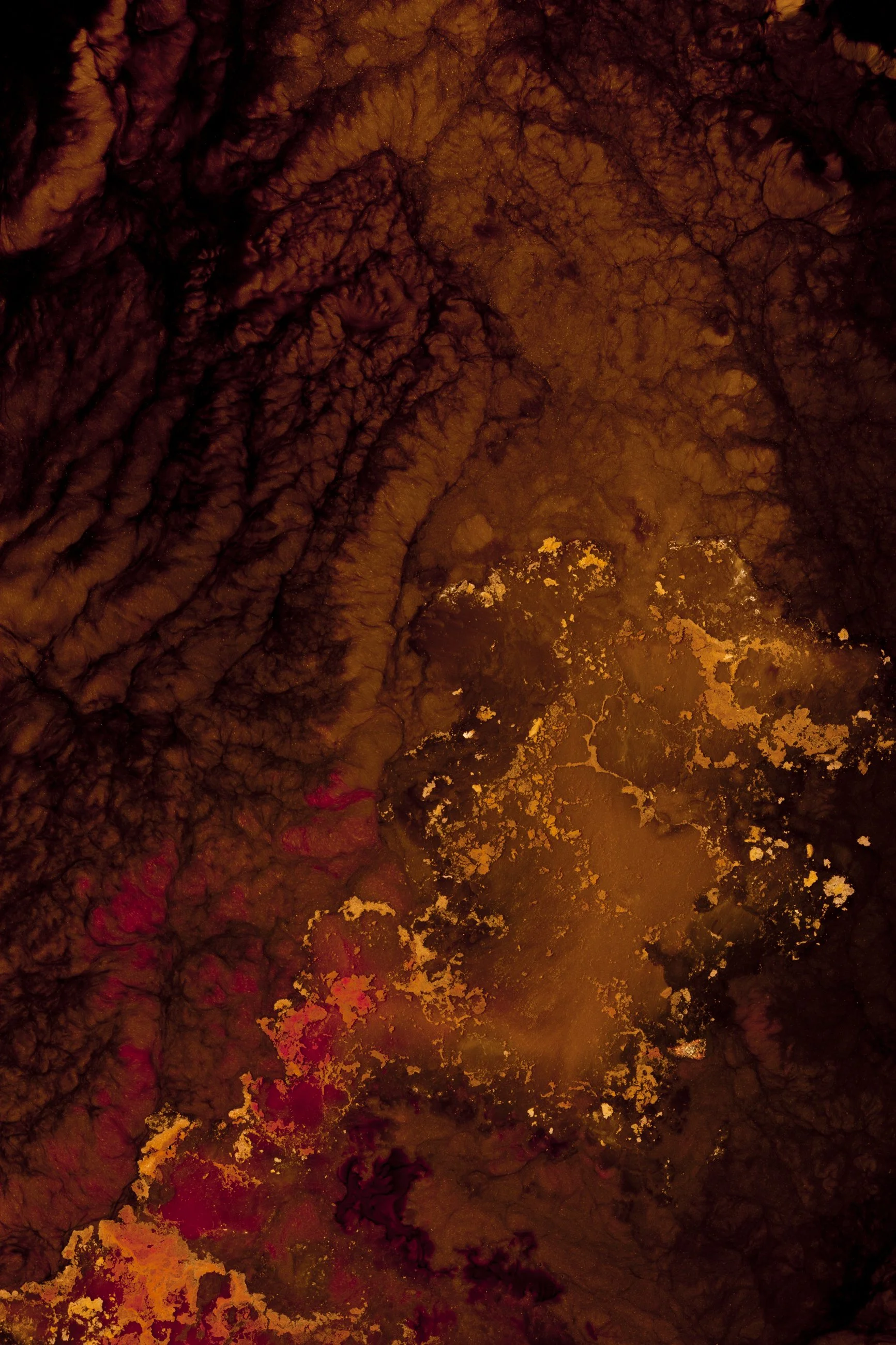 Nicholas Alan Cope Photography