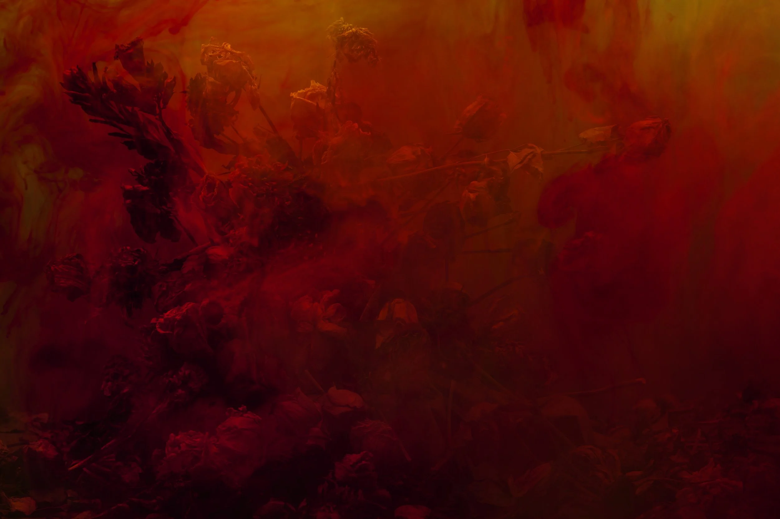 Nicholas Alan Cope Photography